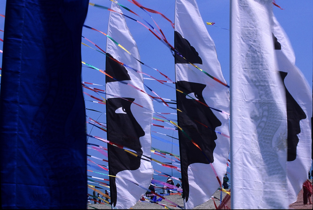 Kite festival in Cervia