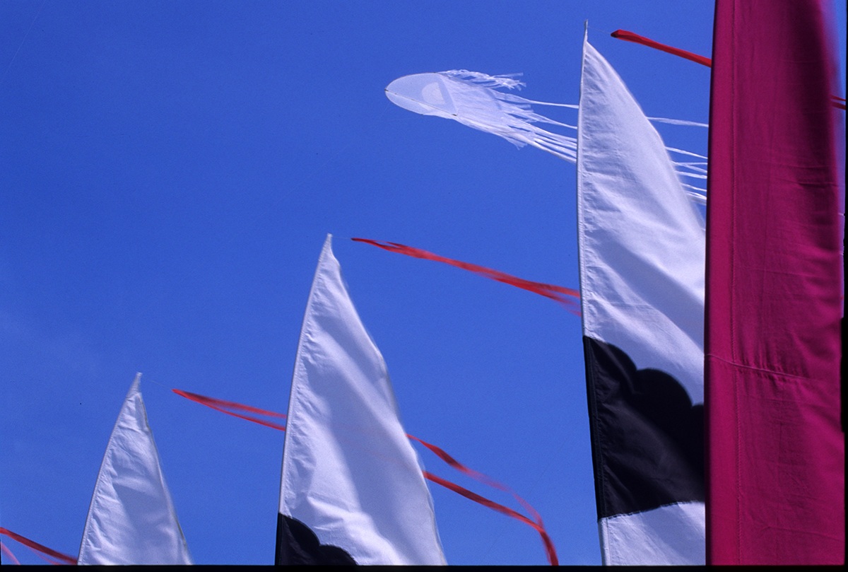 Kite festival in Cervia