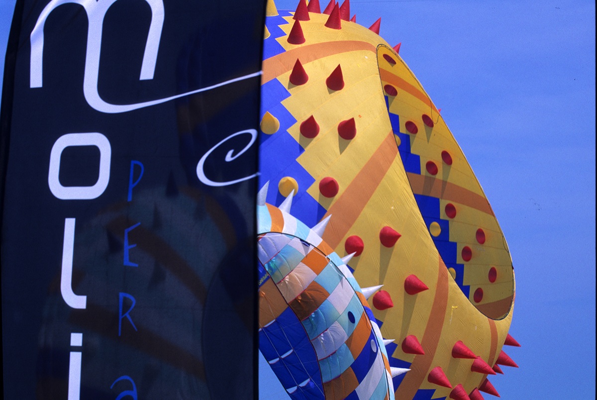 Kite festival in Cervia