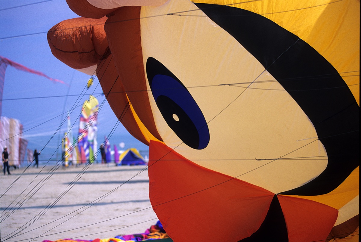 Kite festival in Cervia