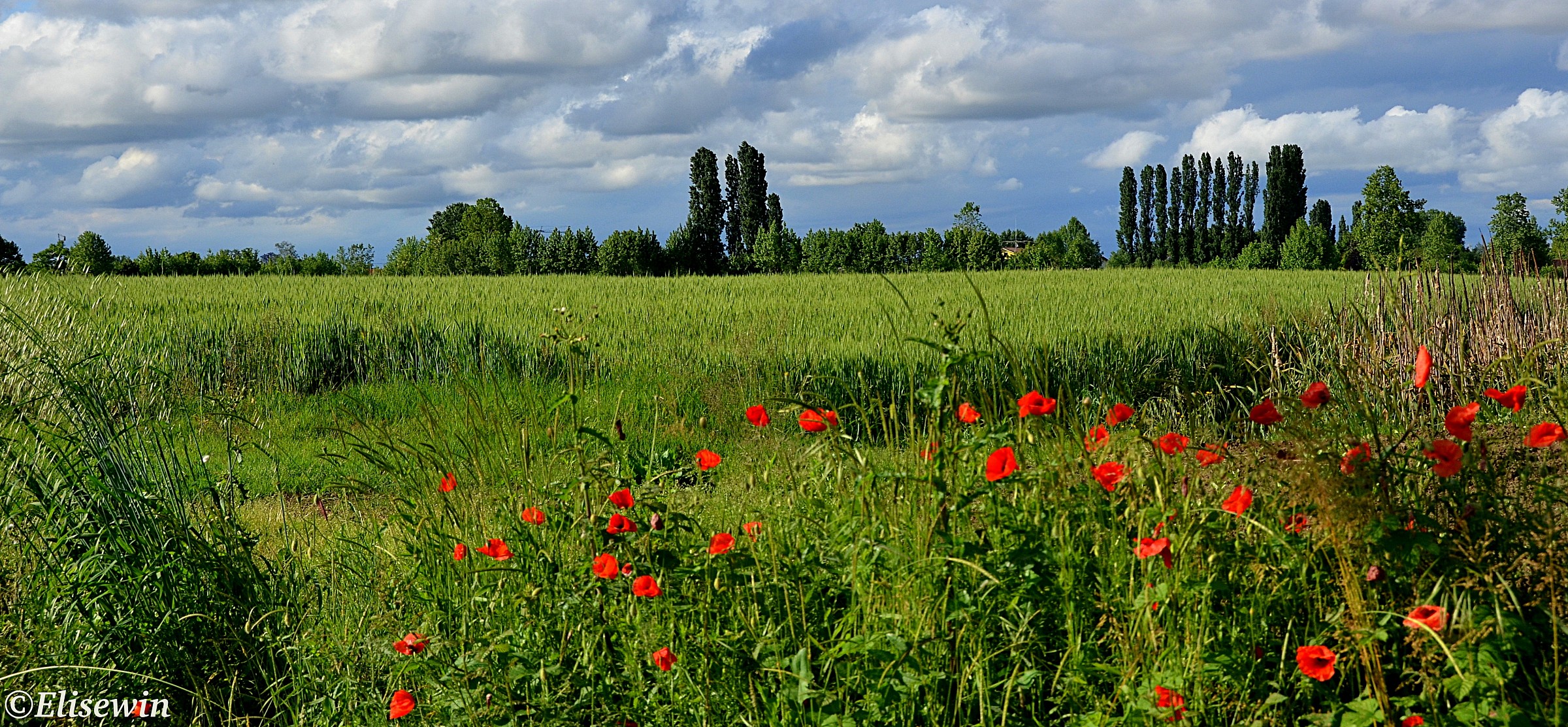 Respirando la primavera