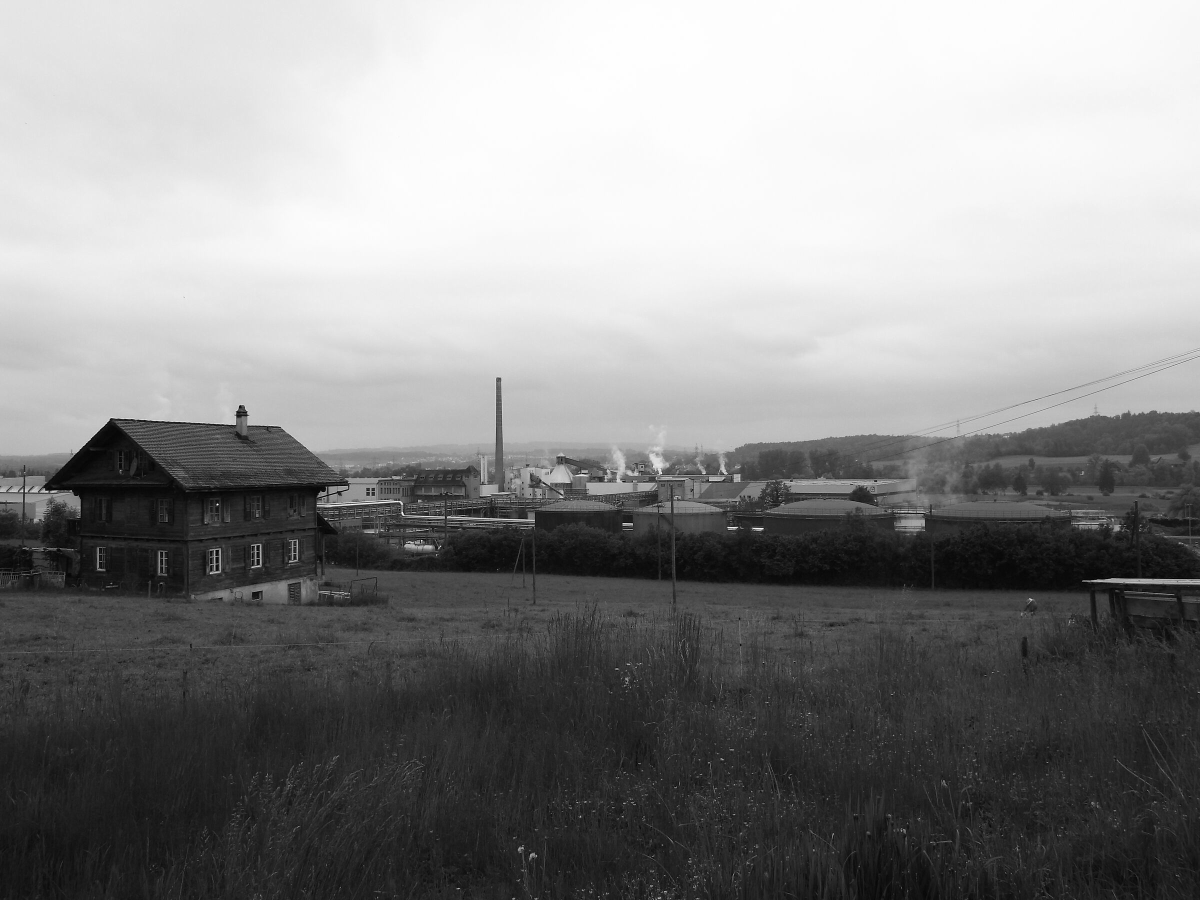 Paper factory