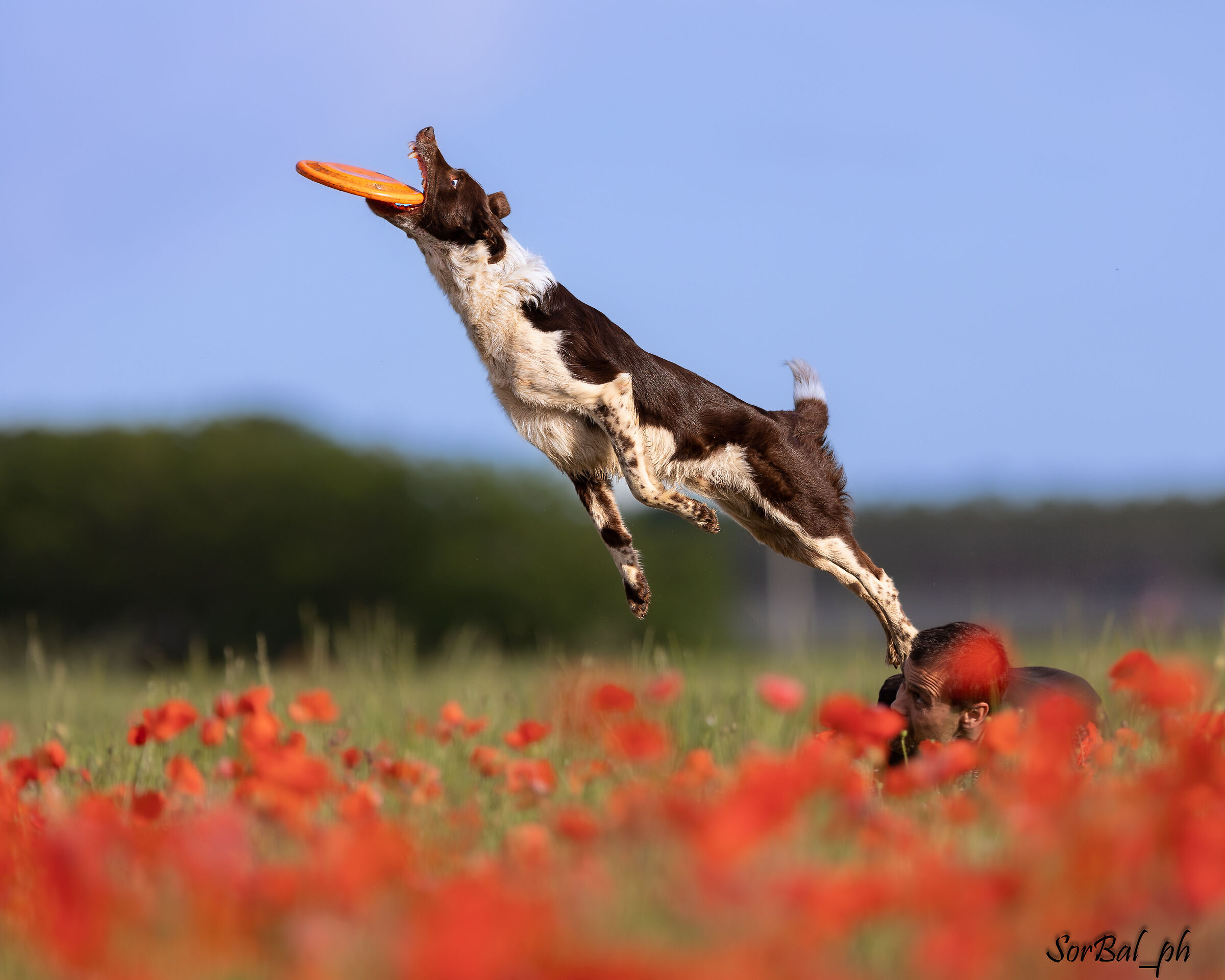 takeoff