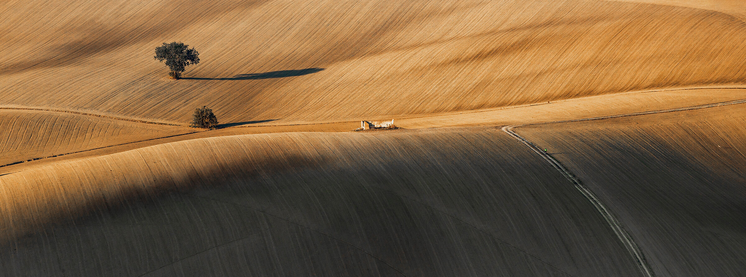 IL rudere e il ciclista