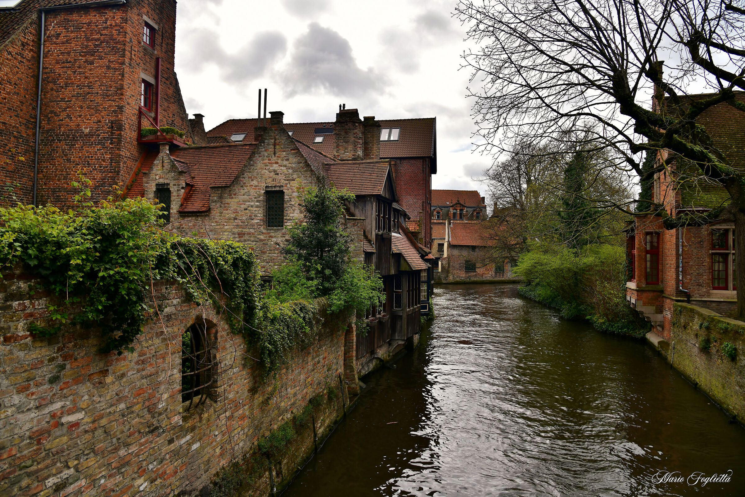 Glimpses of Bruges