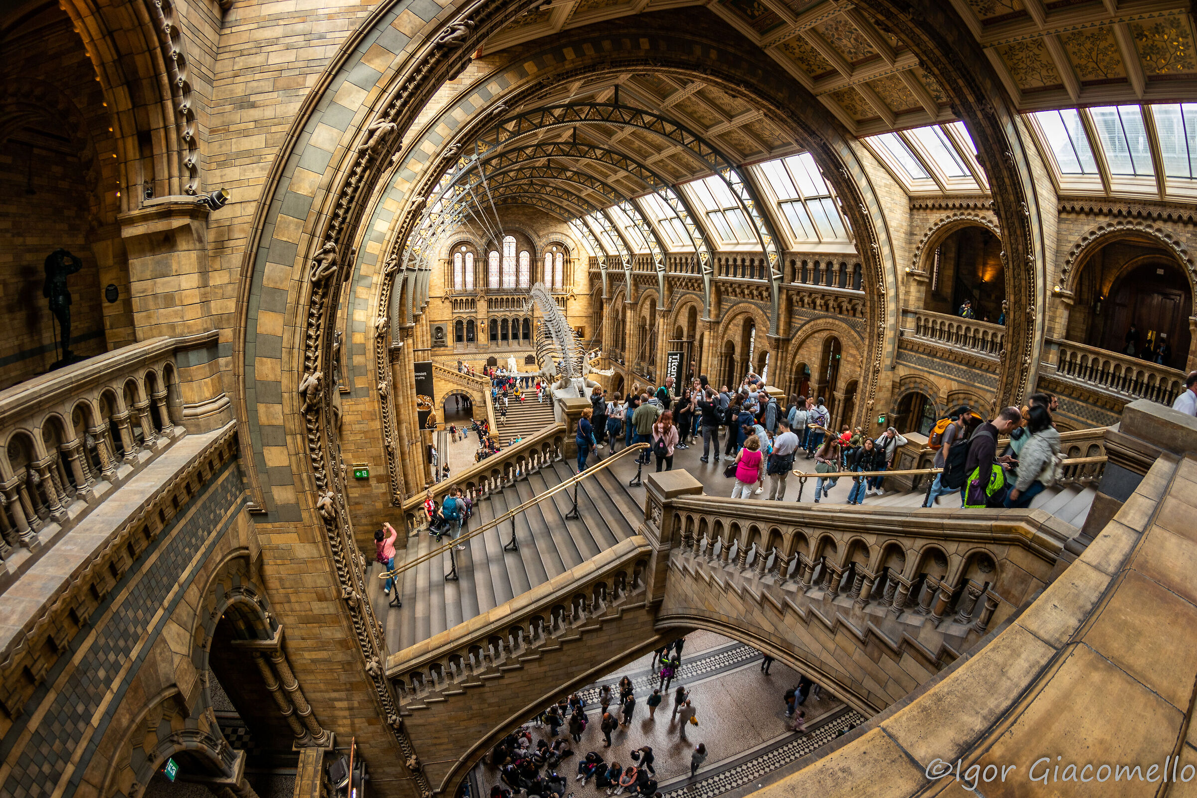 Natural History Museum