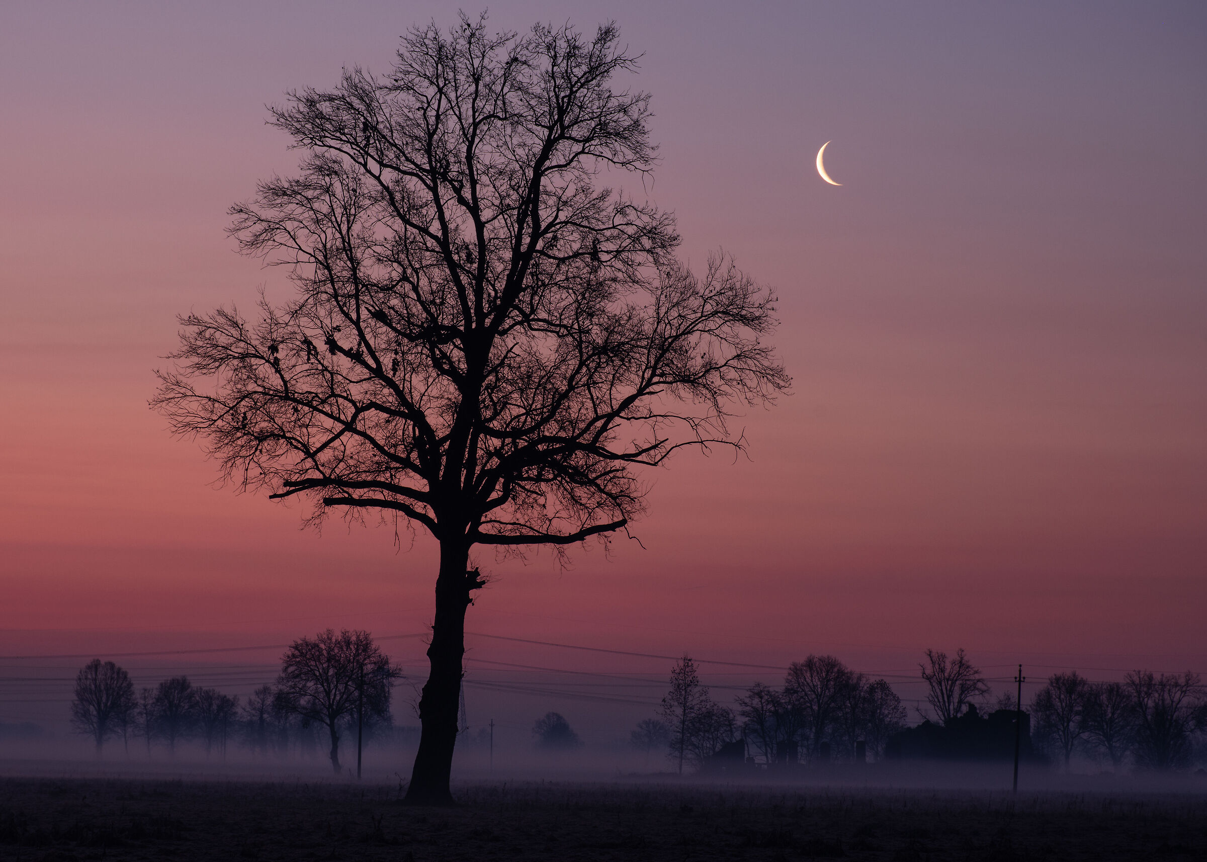 Il saluto della Luna