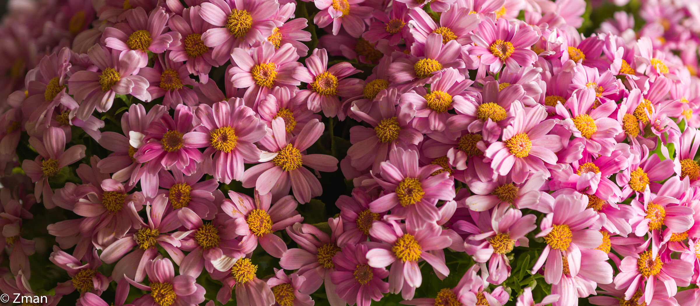 Buona festa della mamma