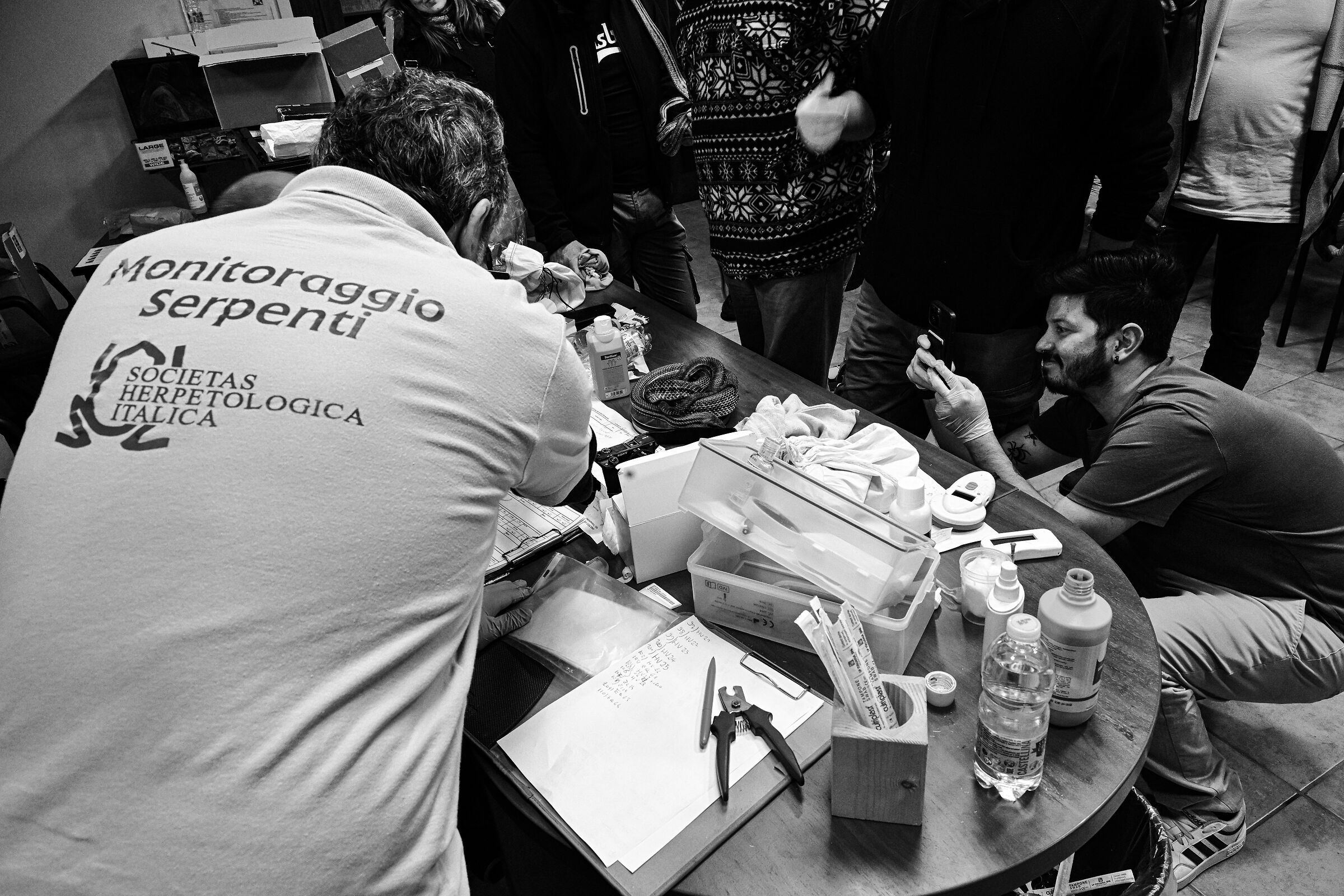 Controllo dei serpenti
