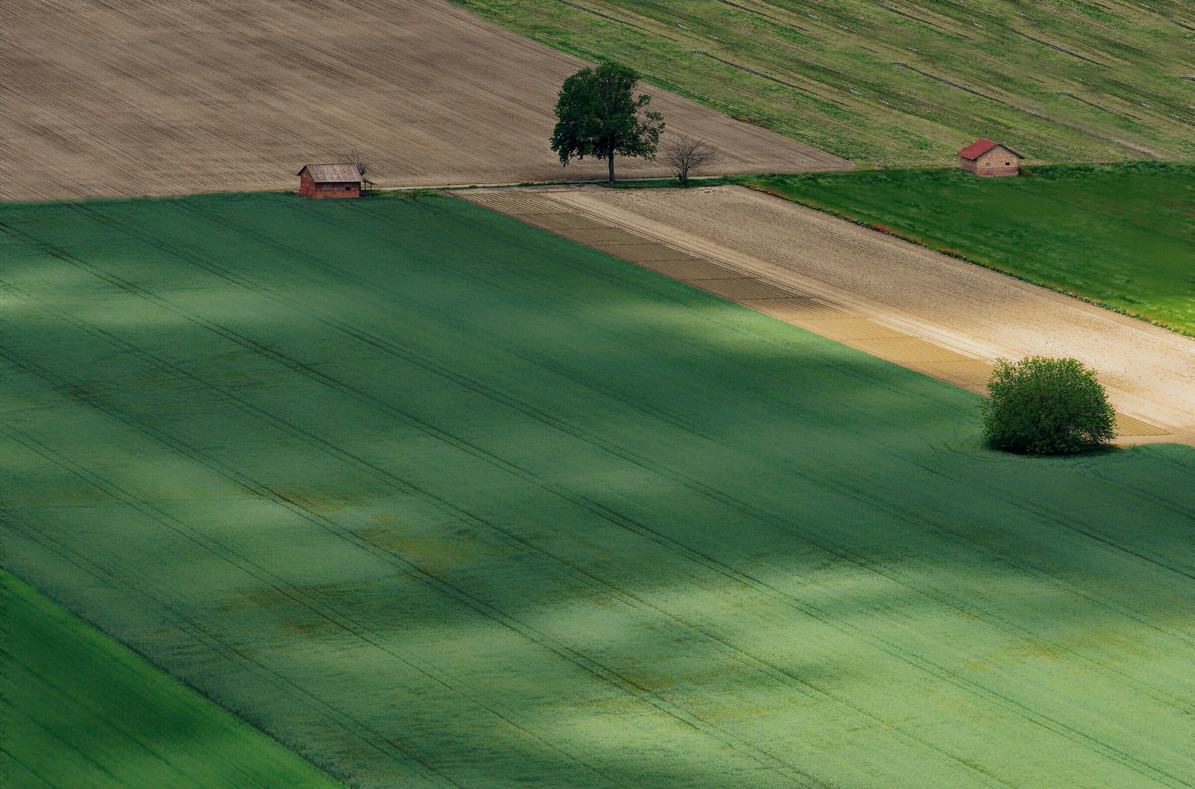 The Casine di Confine