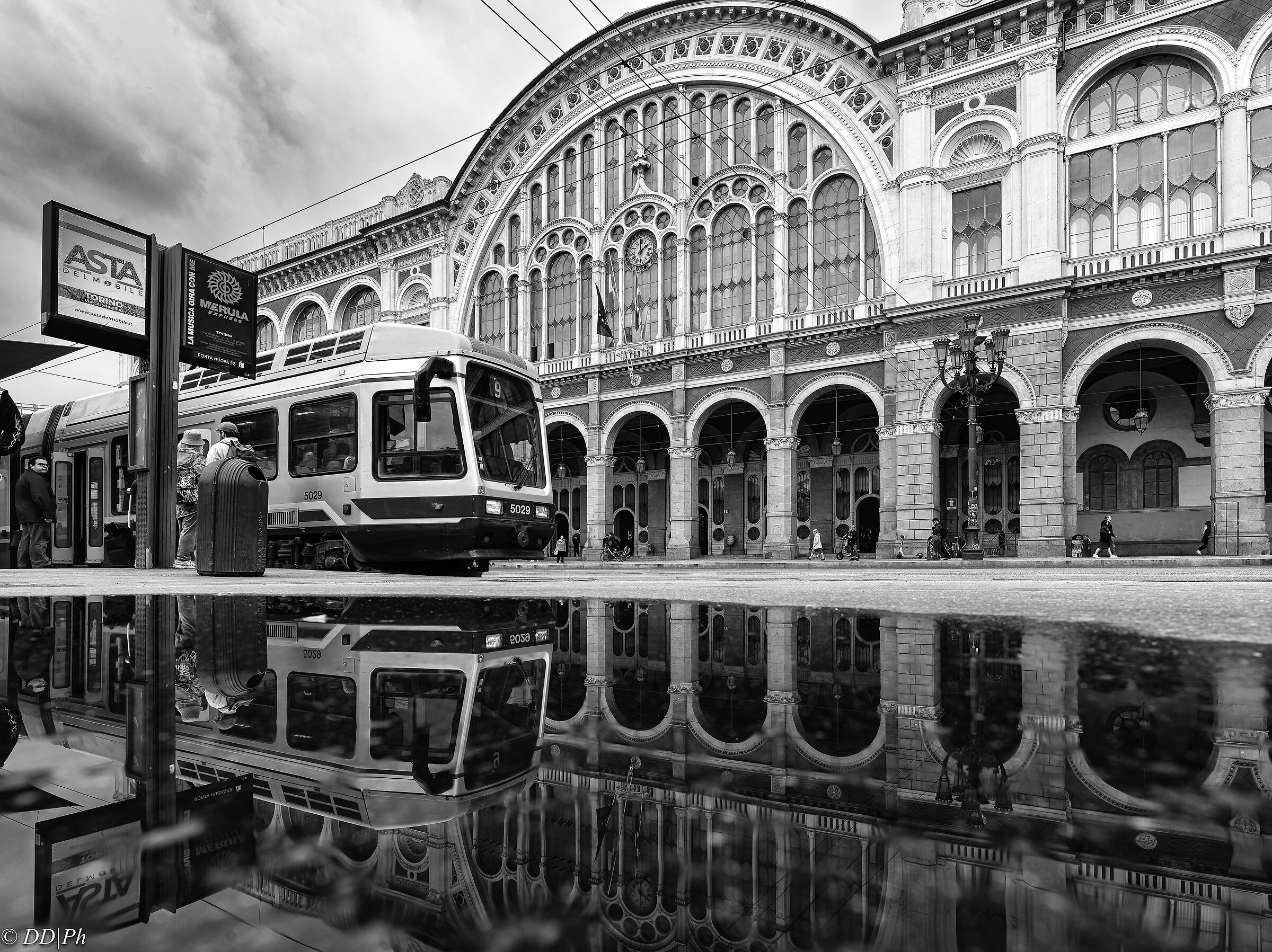 Metropolitan Reflections