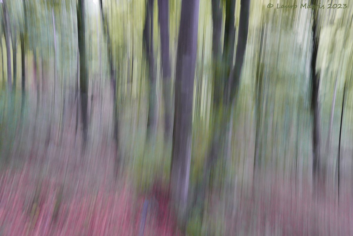 When colors speak