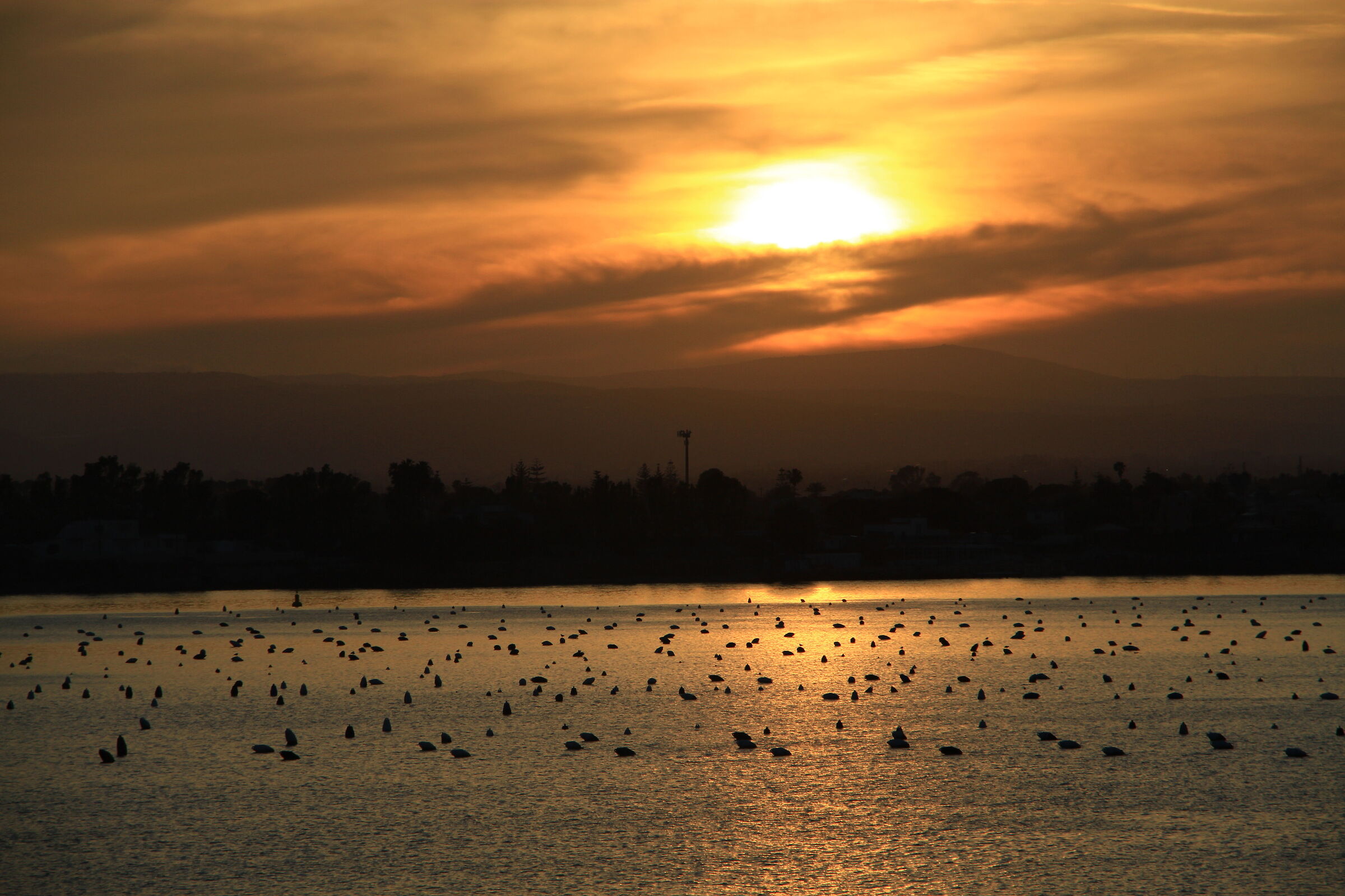 Sunset in Syracuse