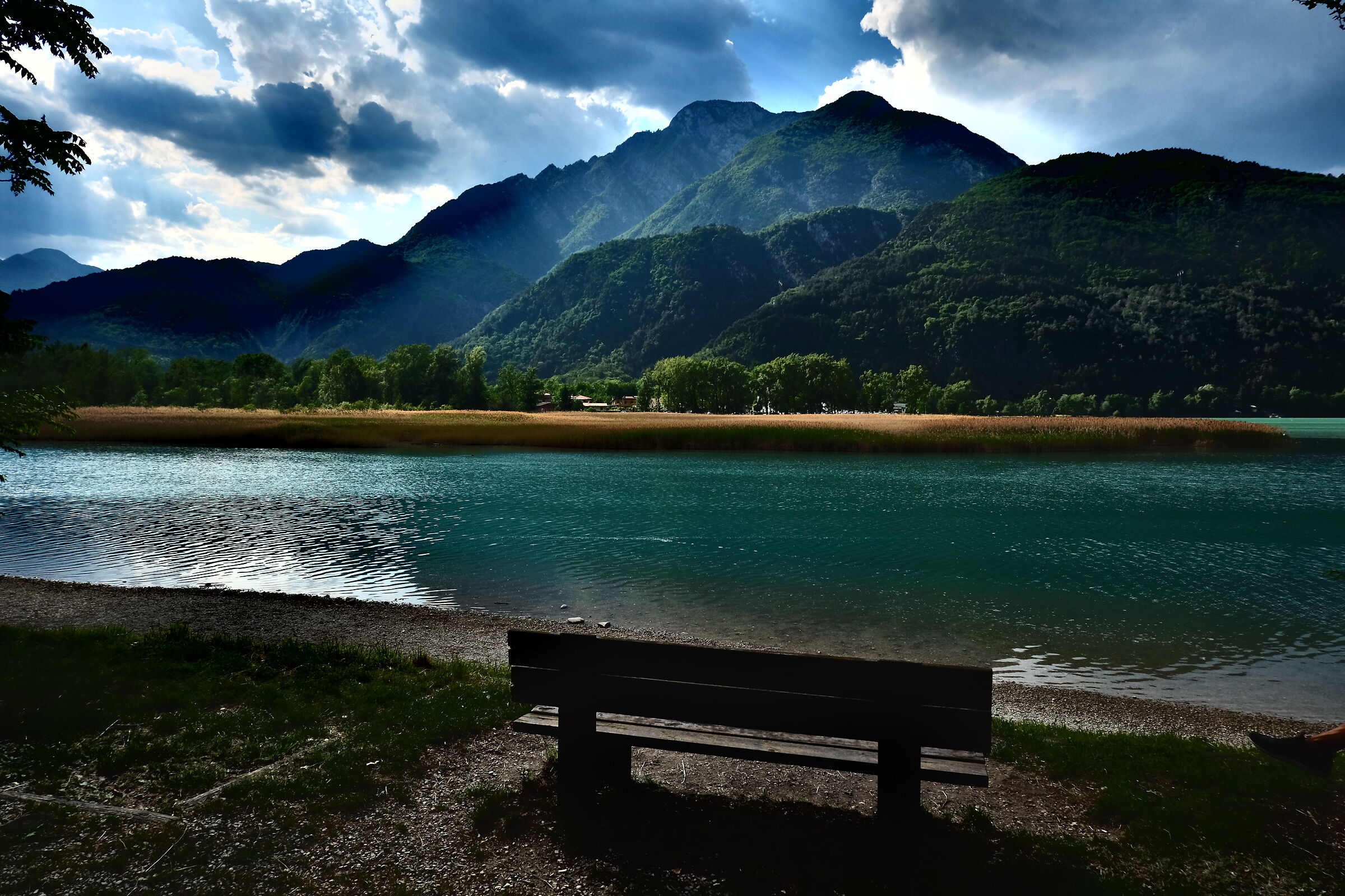 Non abbandonatemi.....