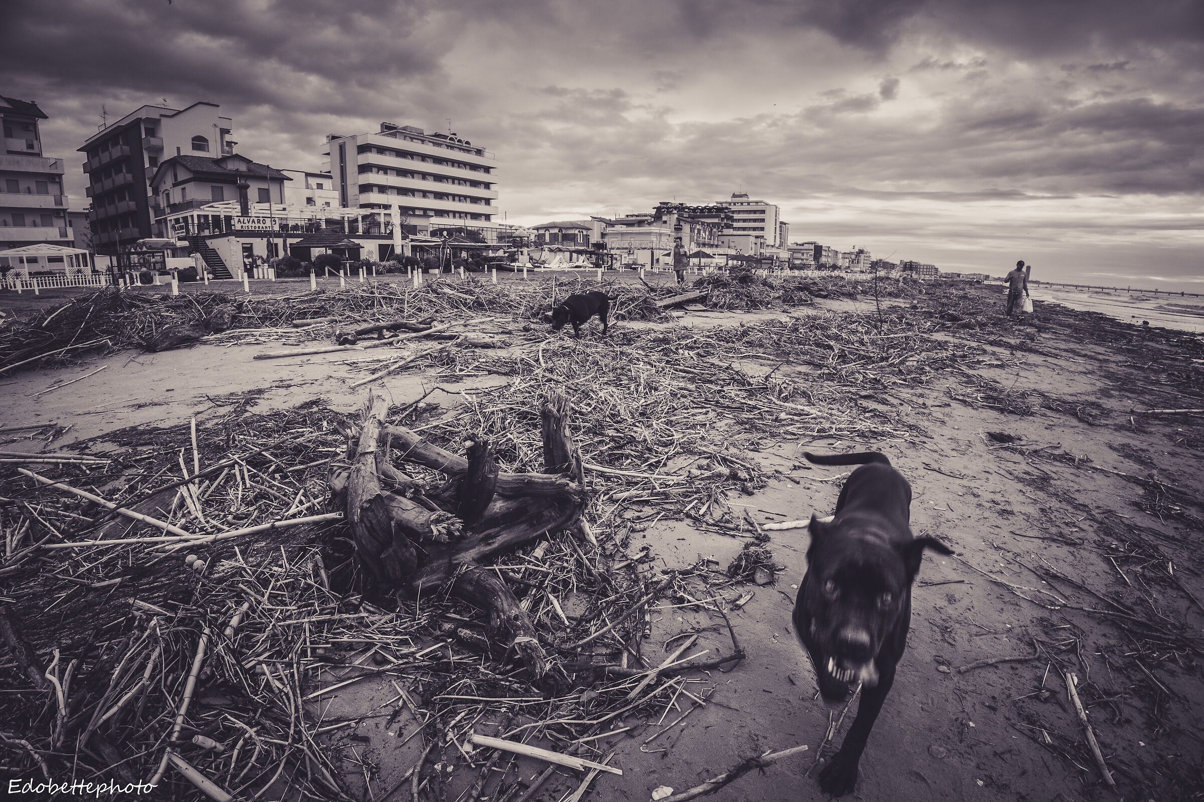 Flood Emilia Romagna: Gatteo a Mare
