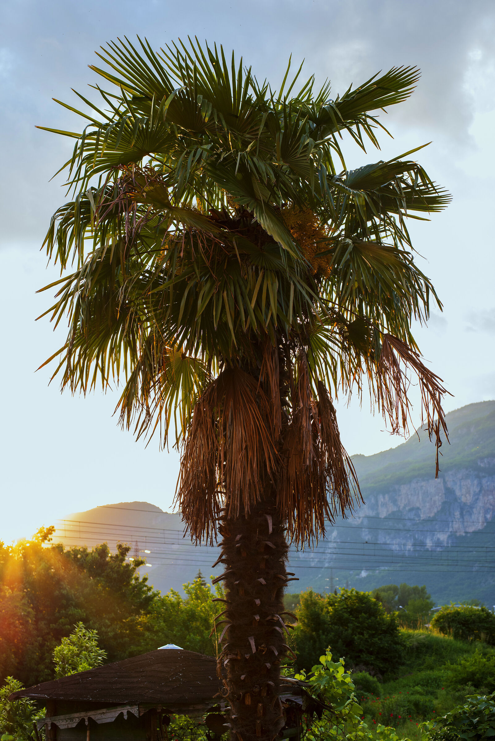 Trentino Beach