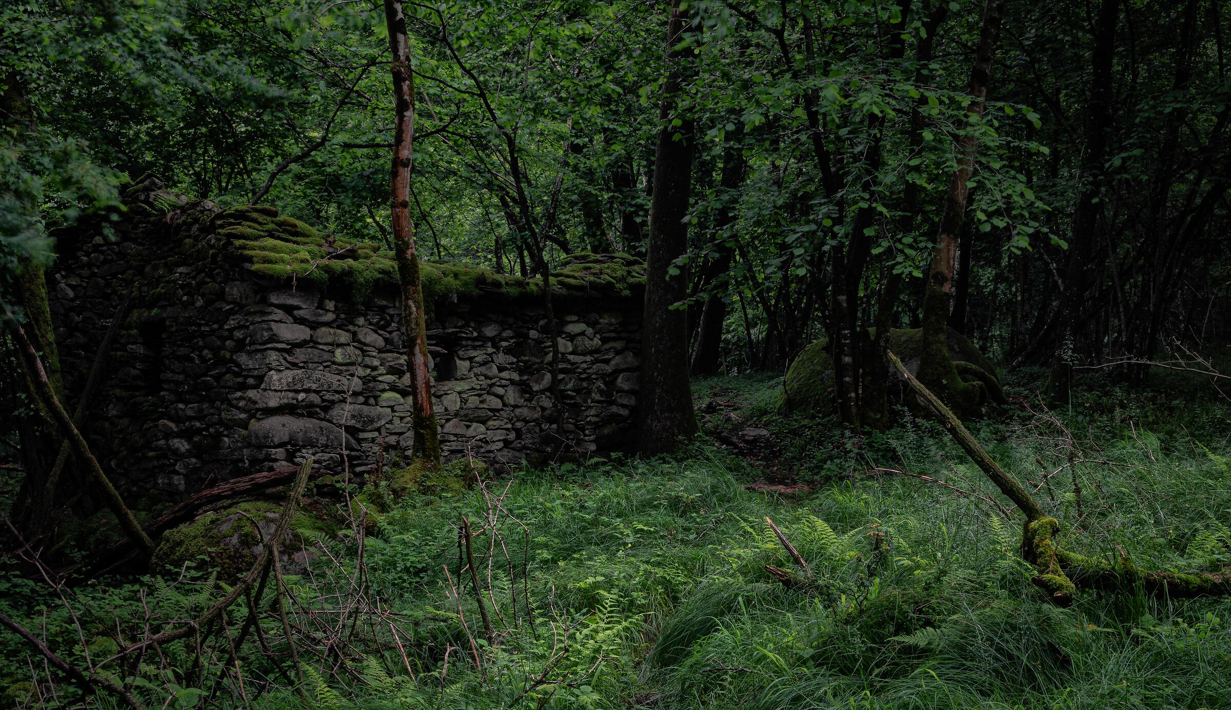 La casa nel bosco