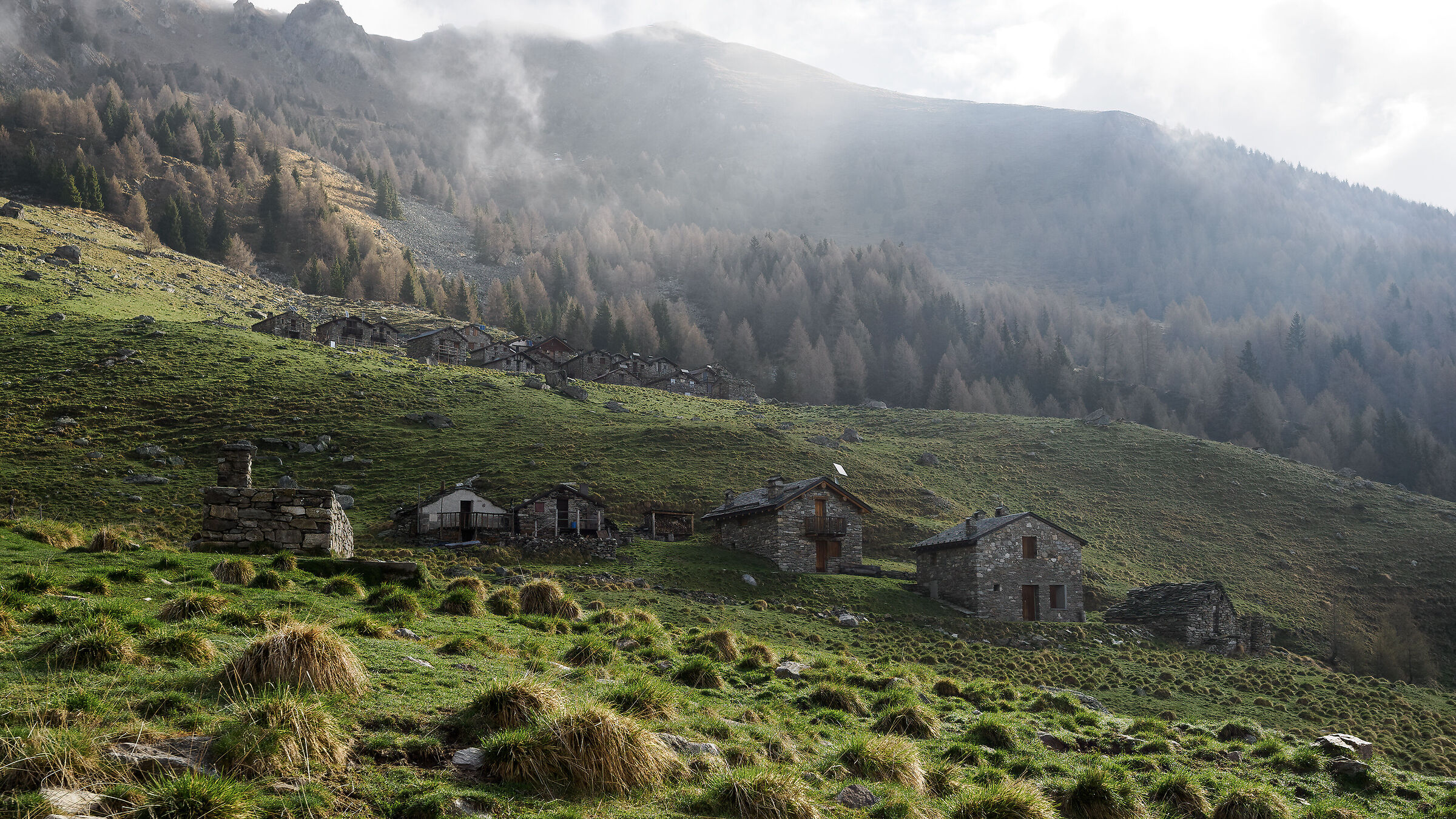 Alpine pasture