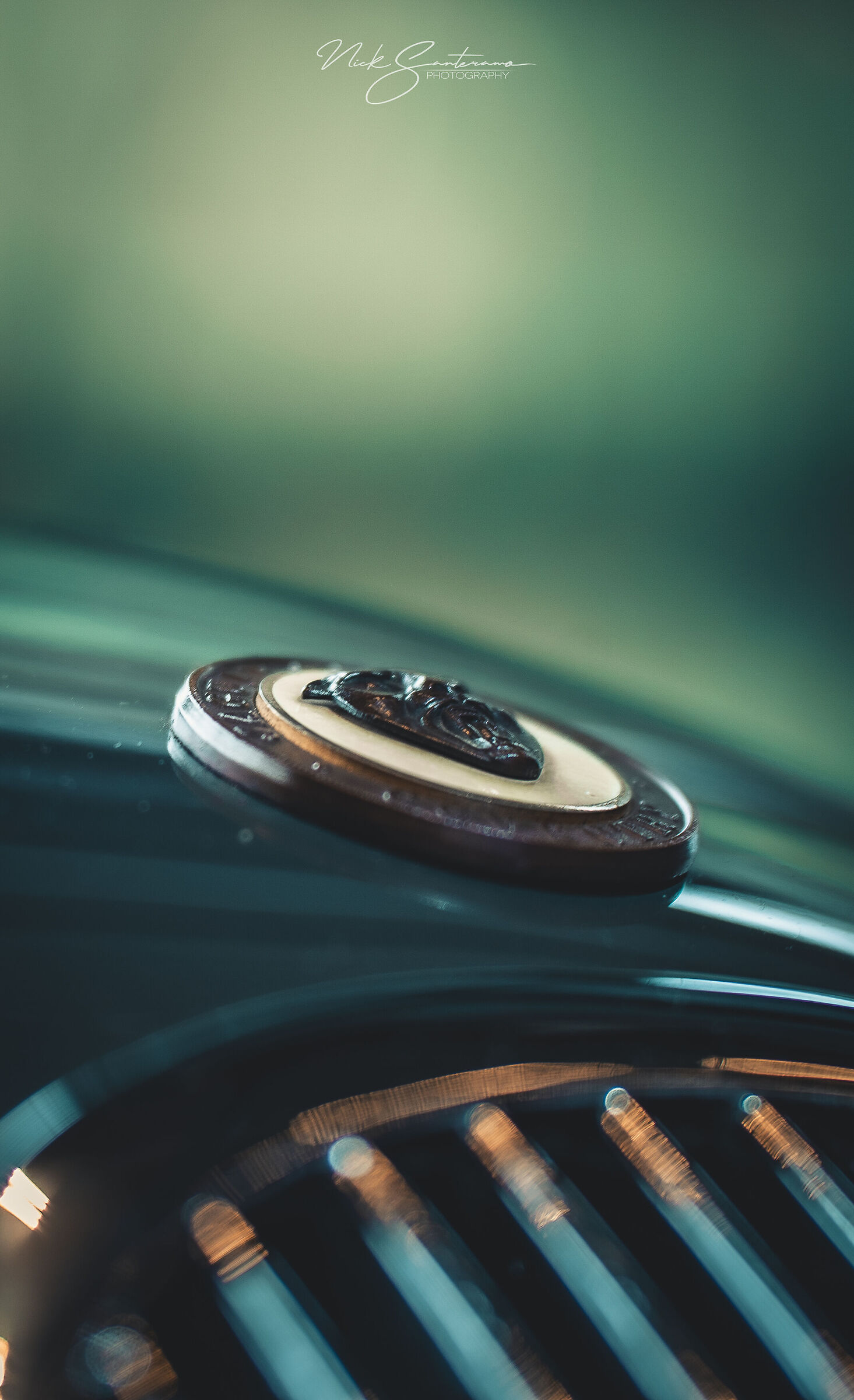 Jaguar details