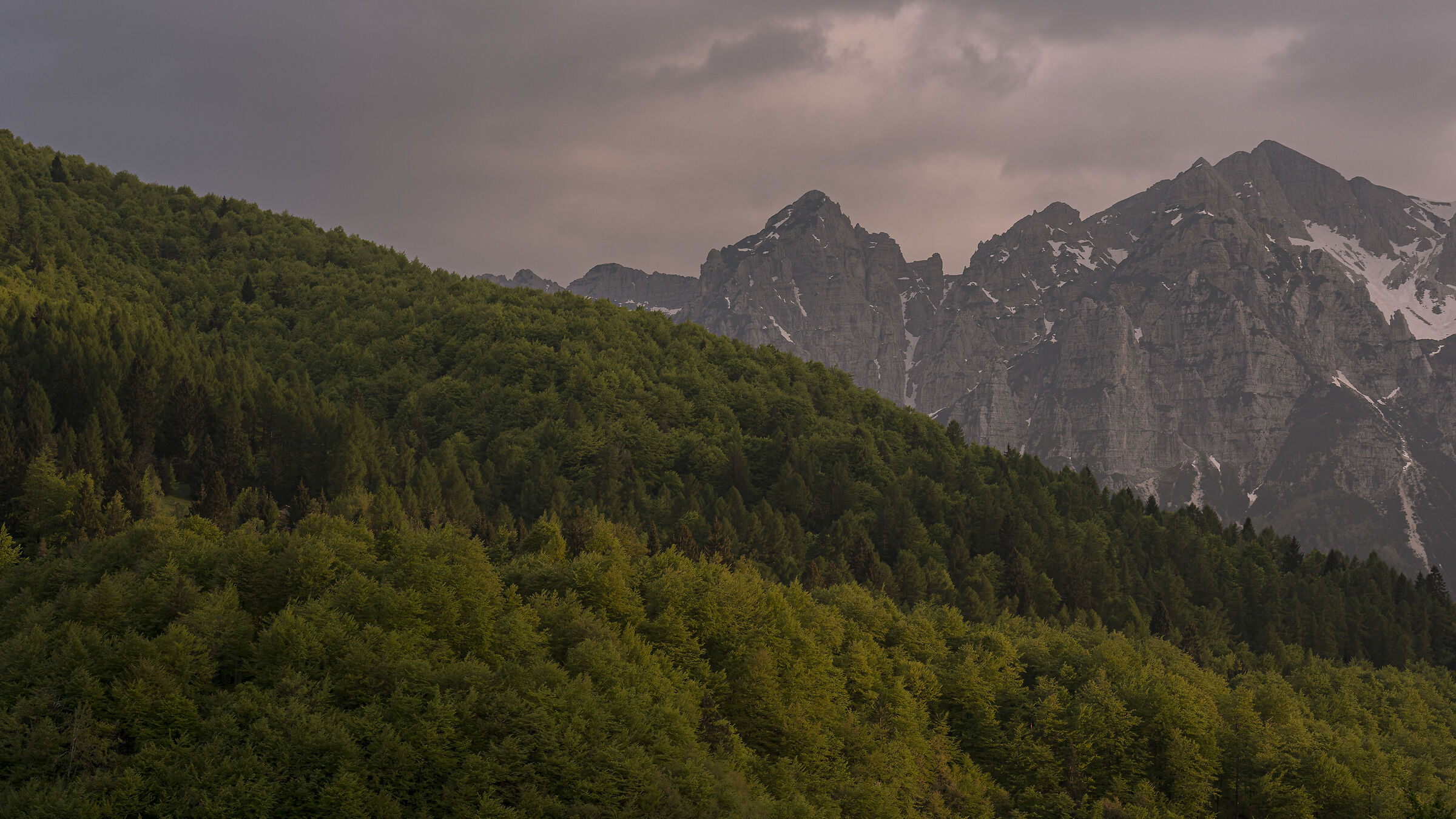 L'armonia dell'ambiente naturale