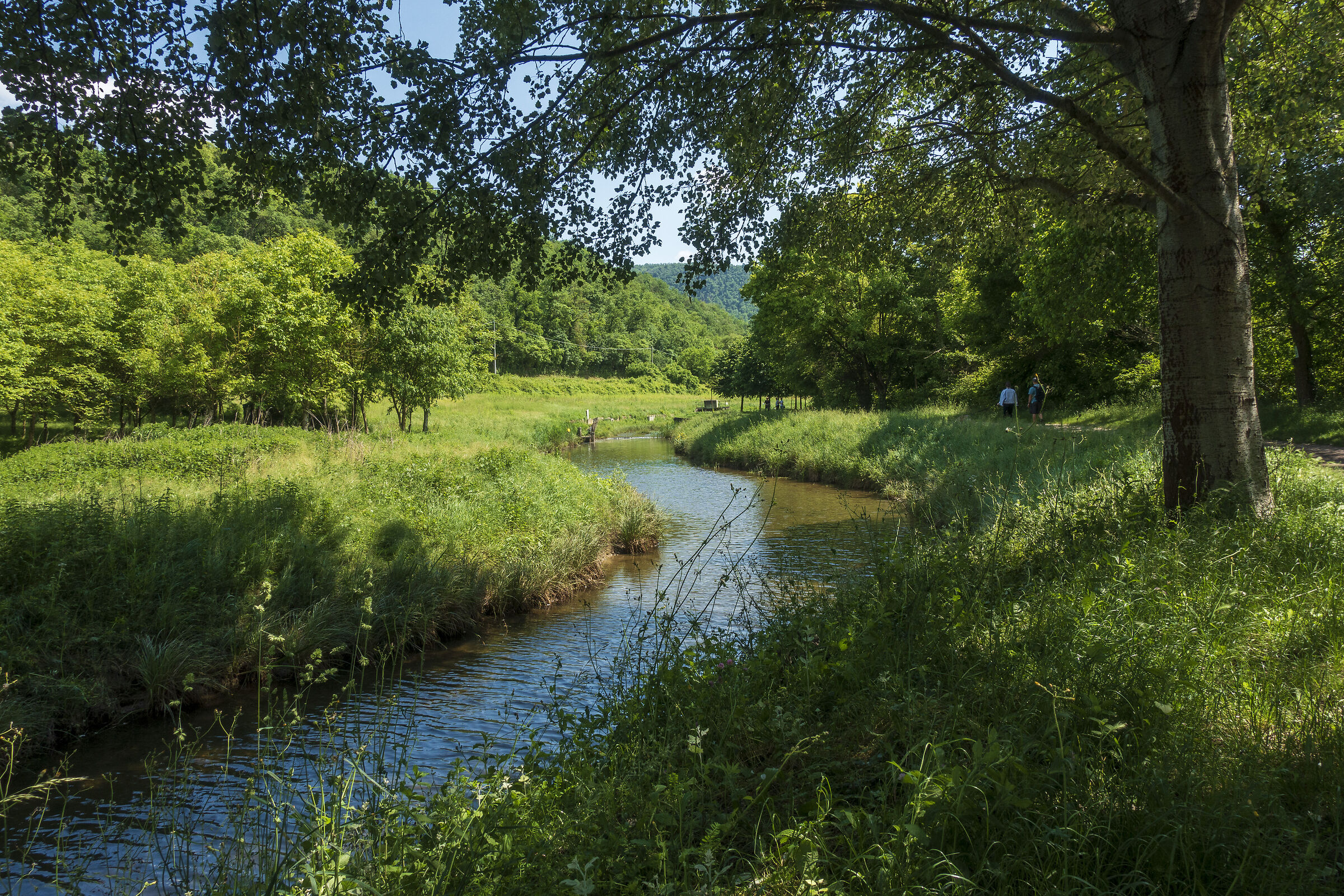Nature walk