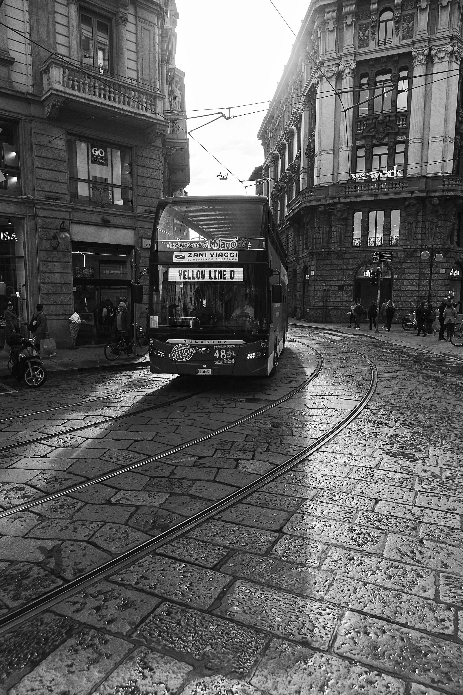 Untitled Photo