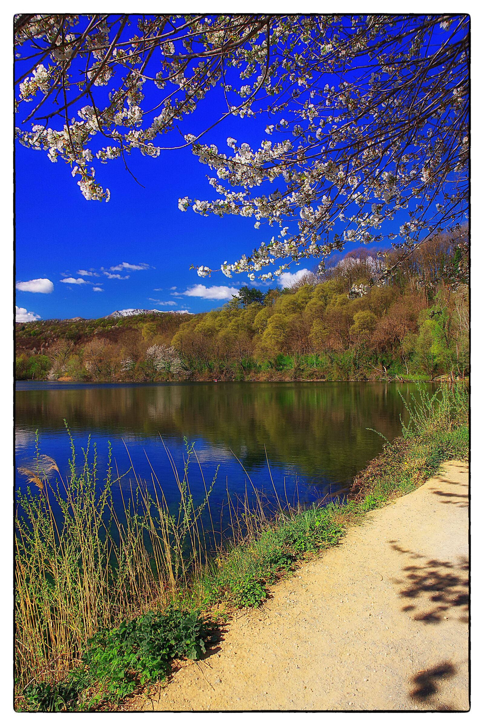 On Lake Grande in Avigliana