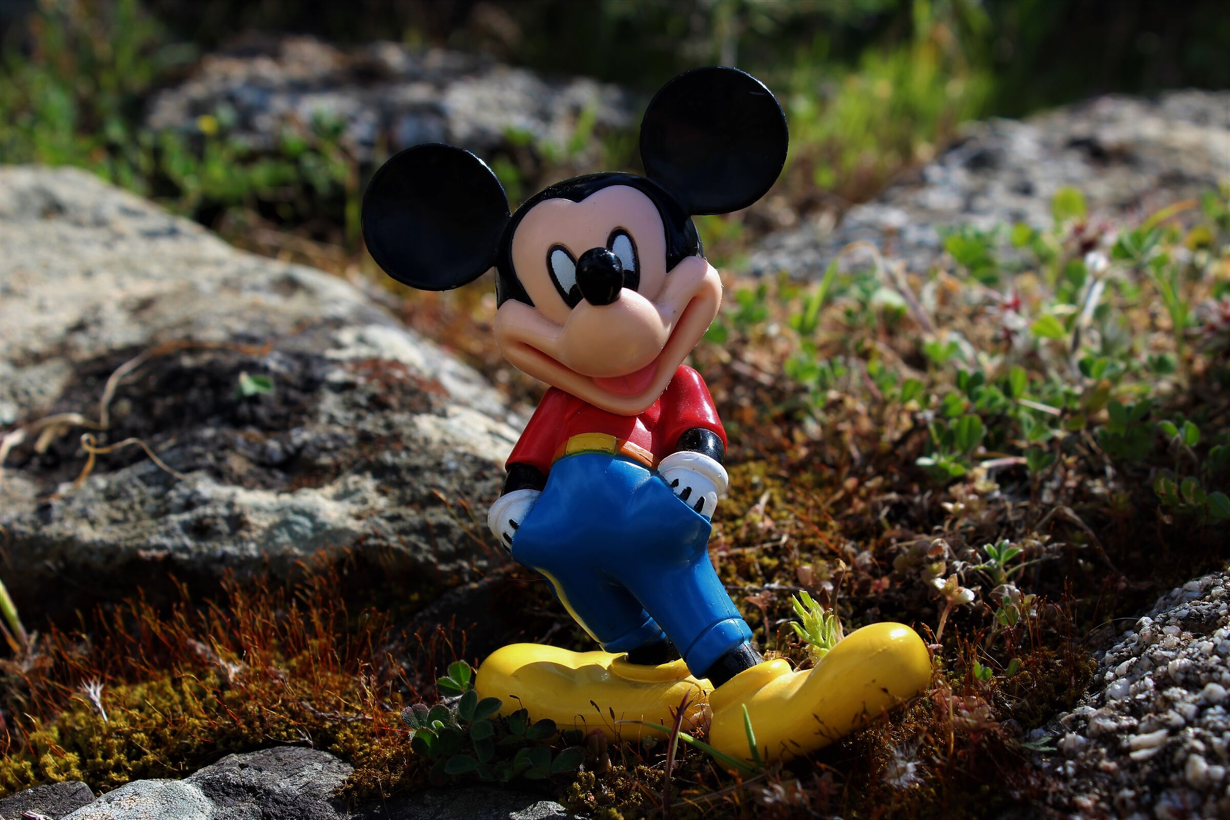 Mickye Mouse