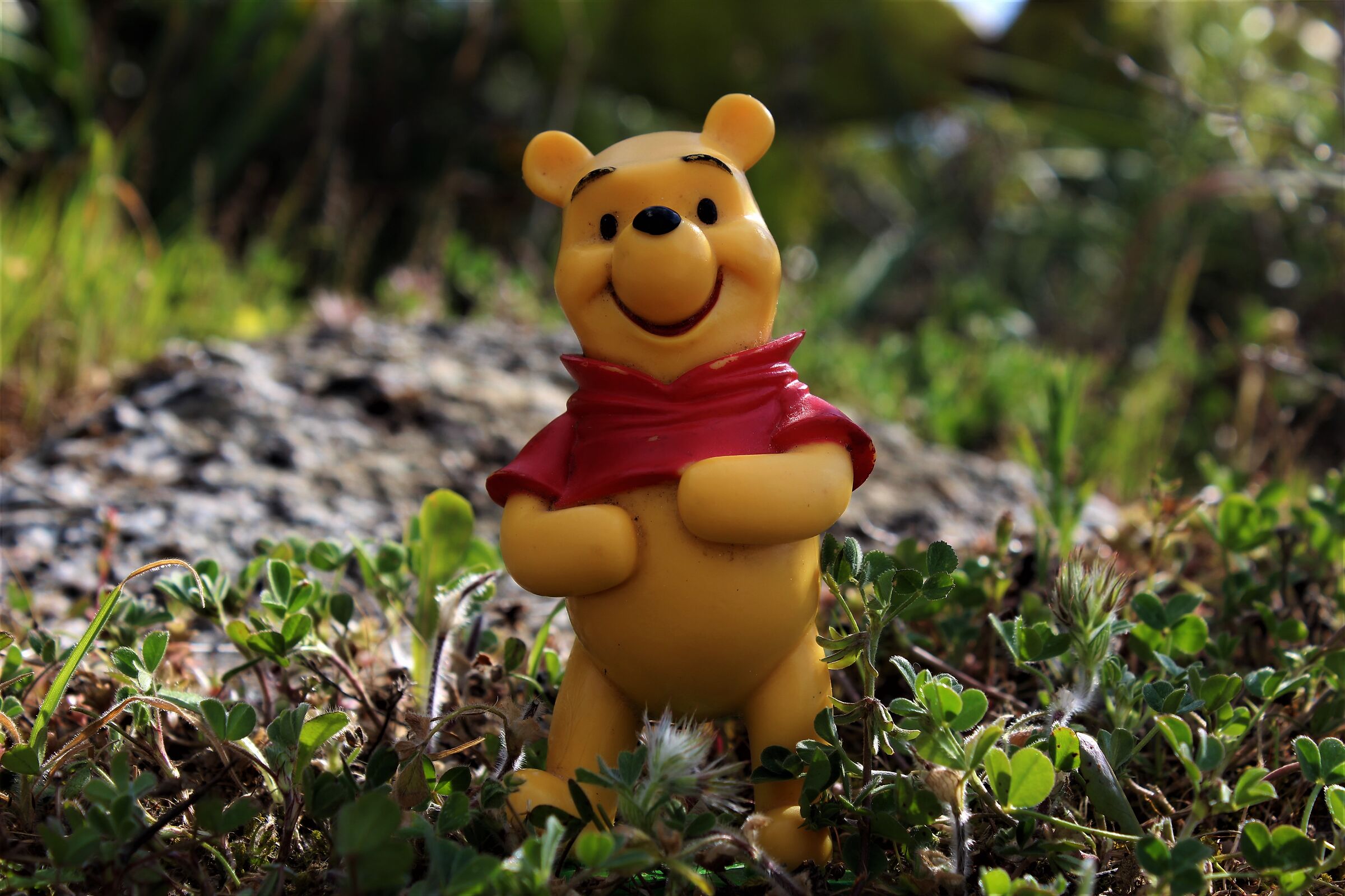 Winnie the Pooh