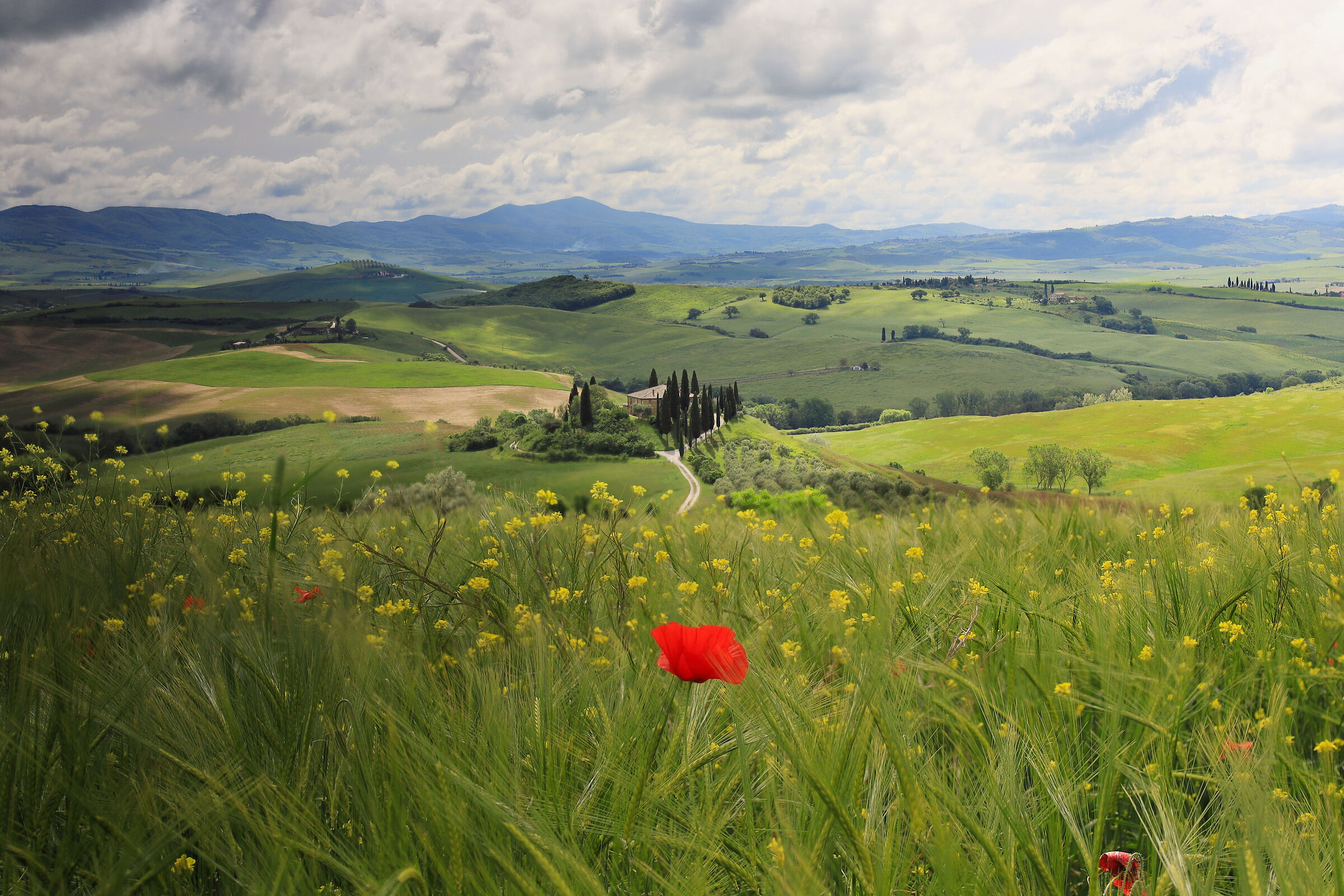 Fantastic Val d'Orcia