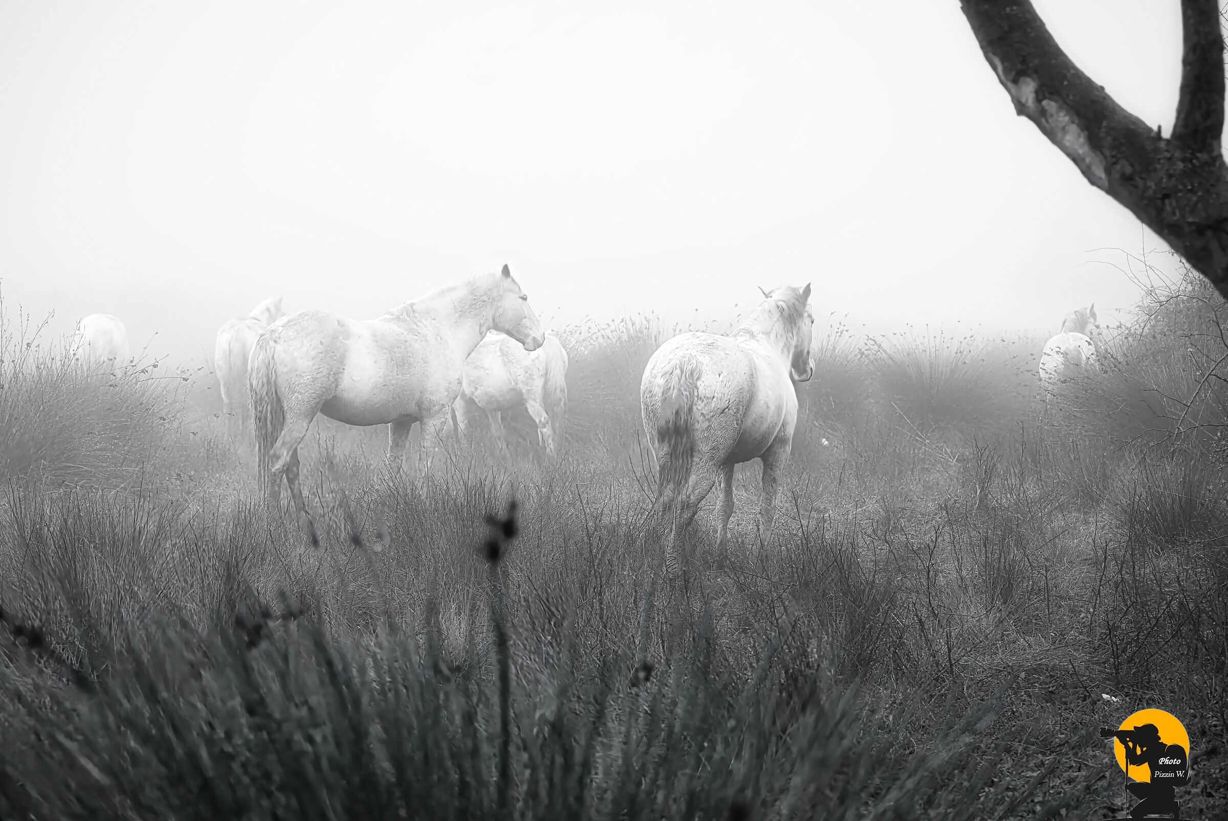 Untitled Photo