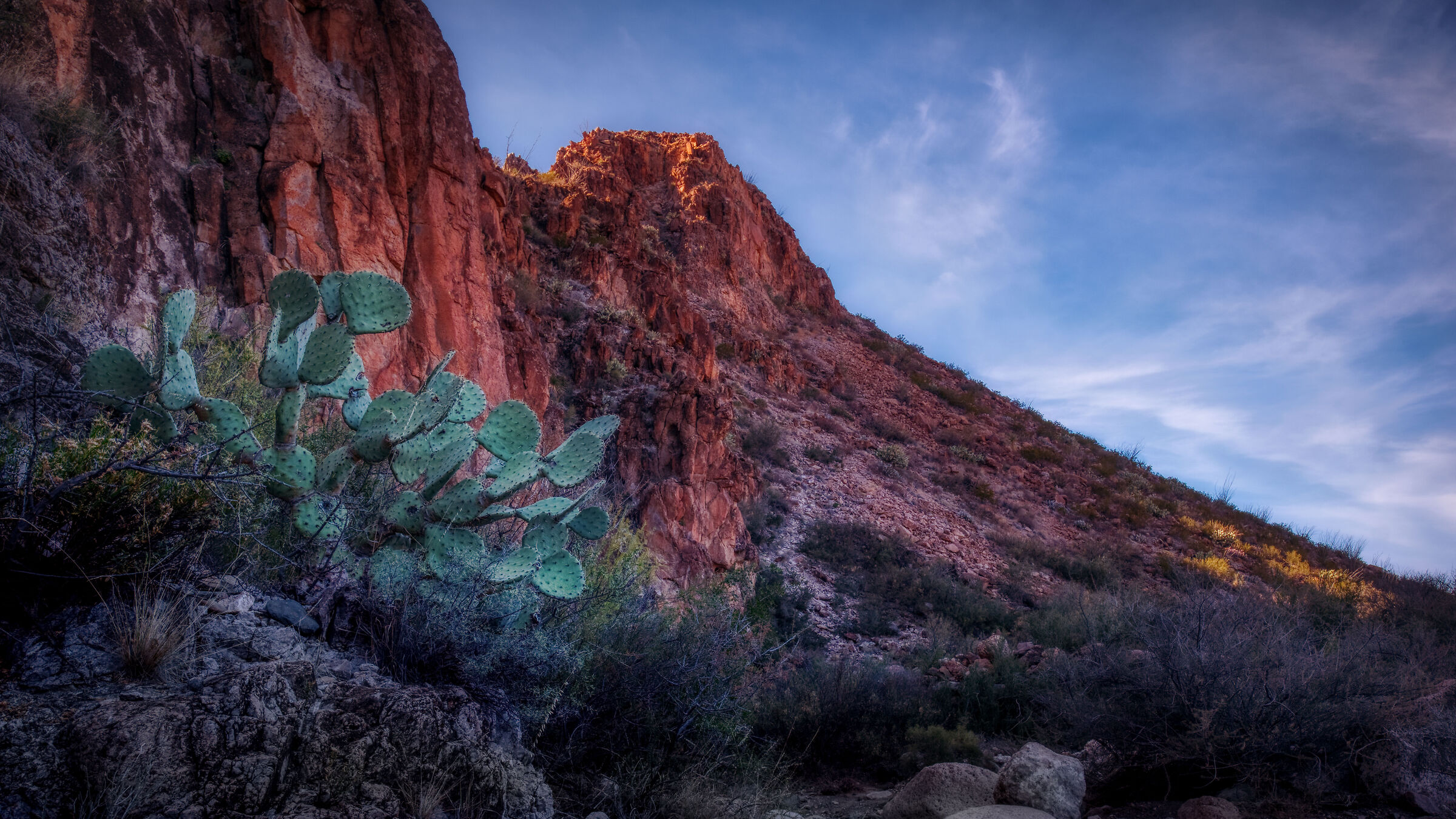 Parco nazionale di Big Bend, Texas