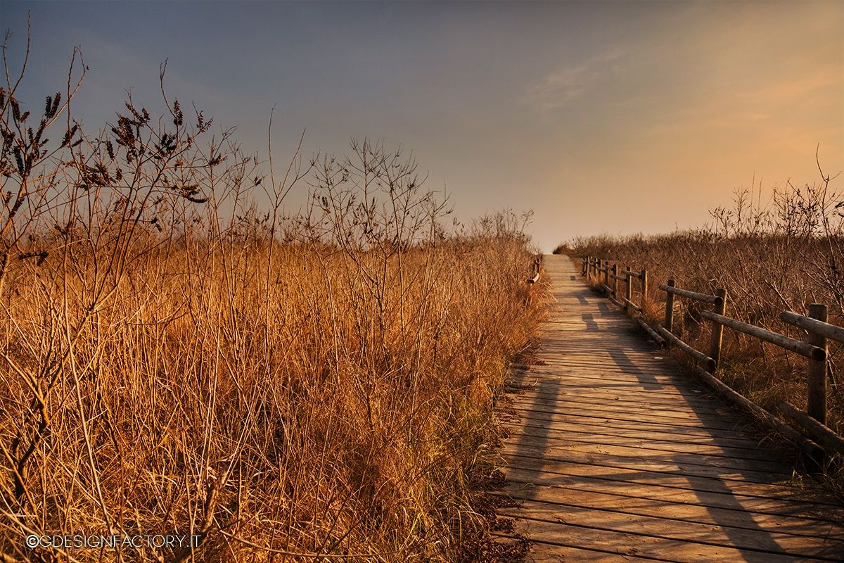 Passerella per il mare
