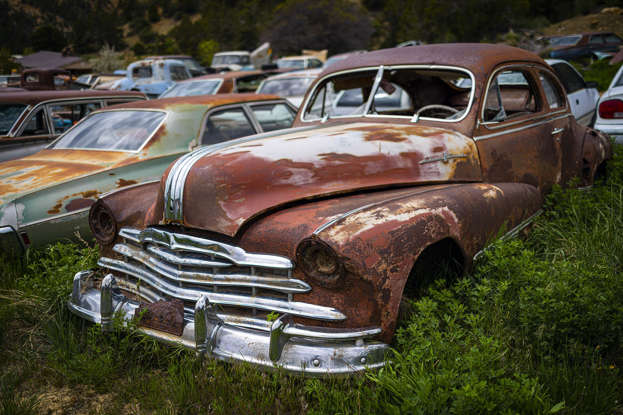 Vehicle Graveyard