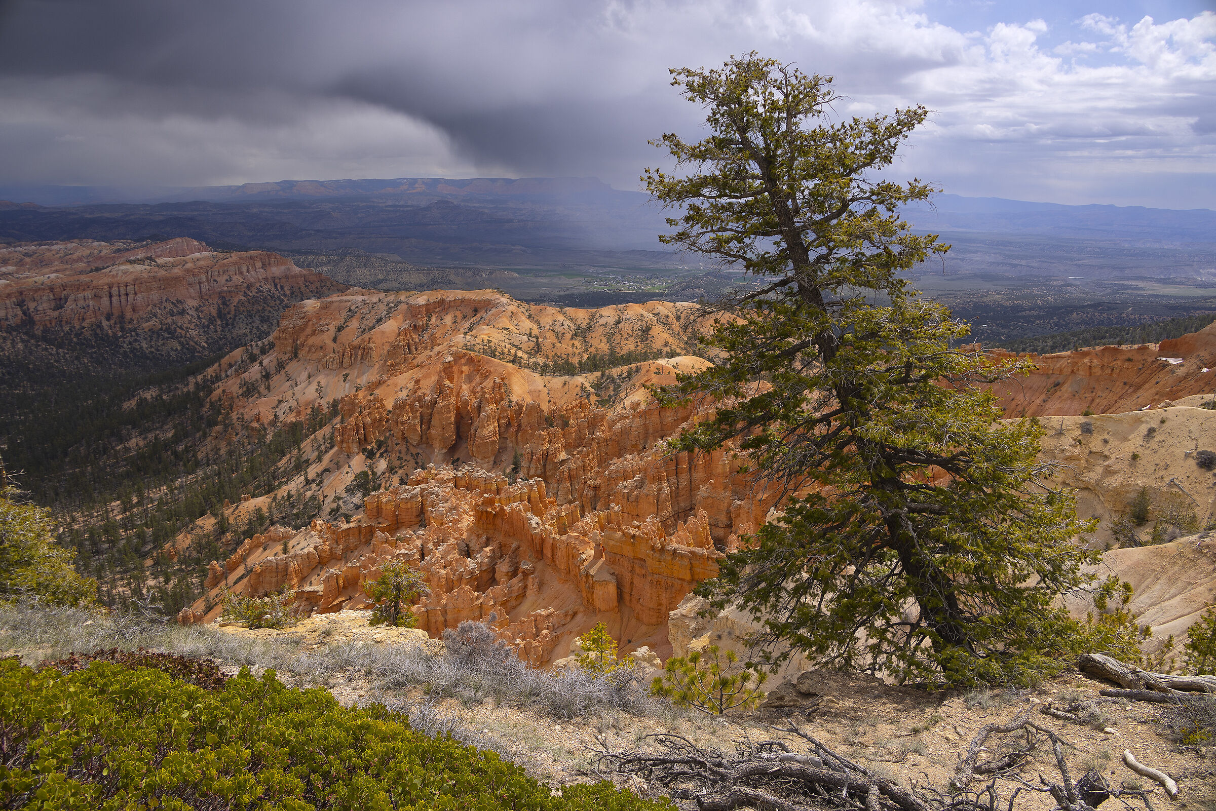 Bryce Canyon (Utah)