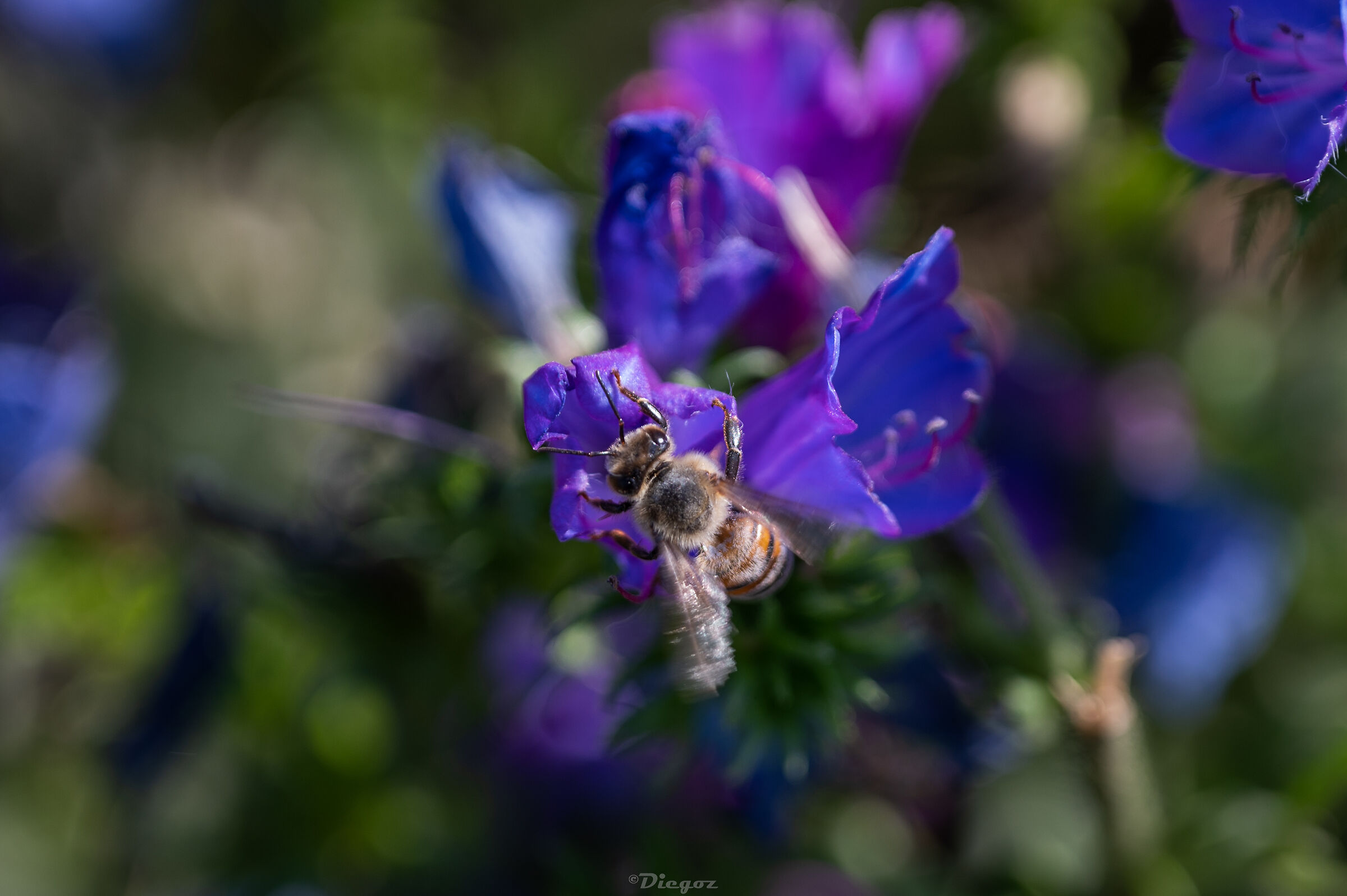 Untitled Photo