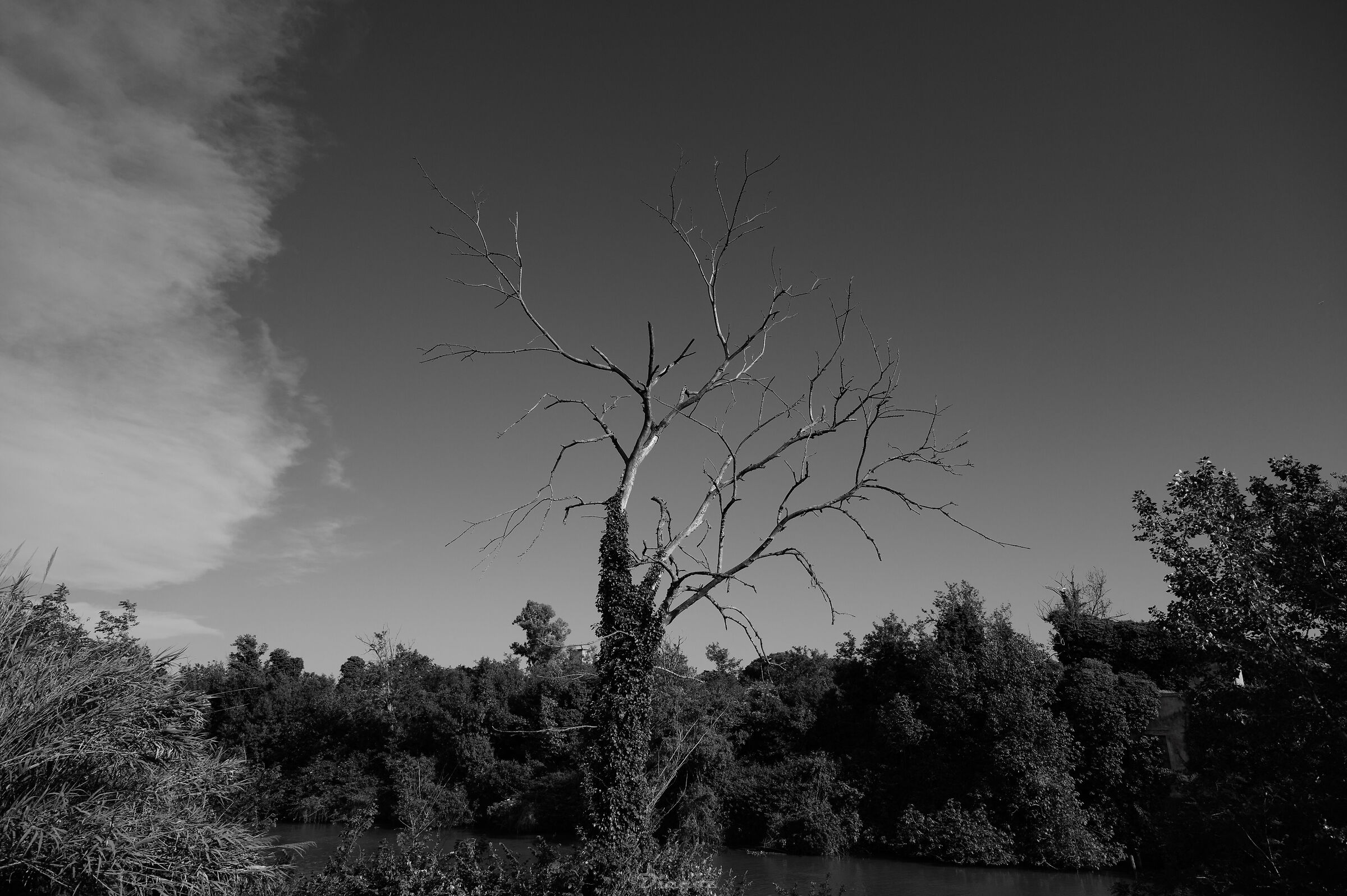 Untitled Photo