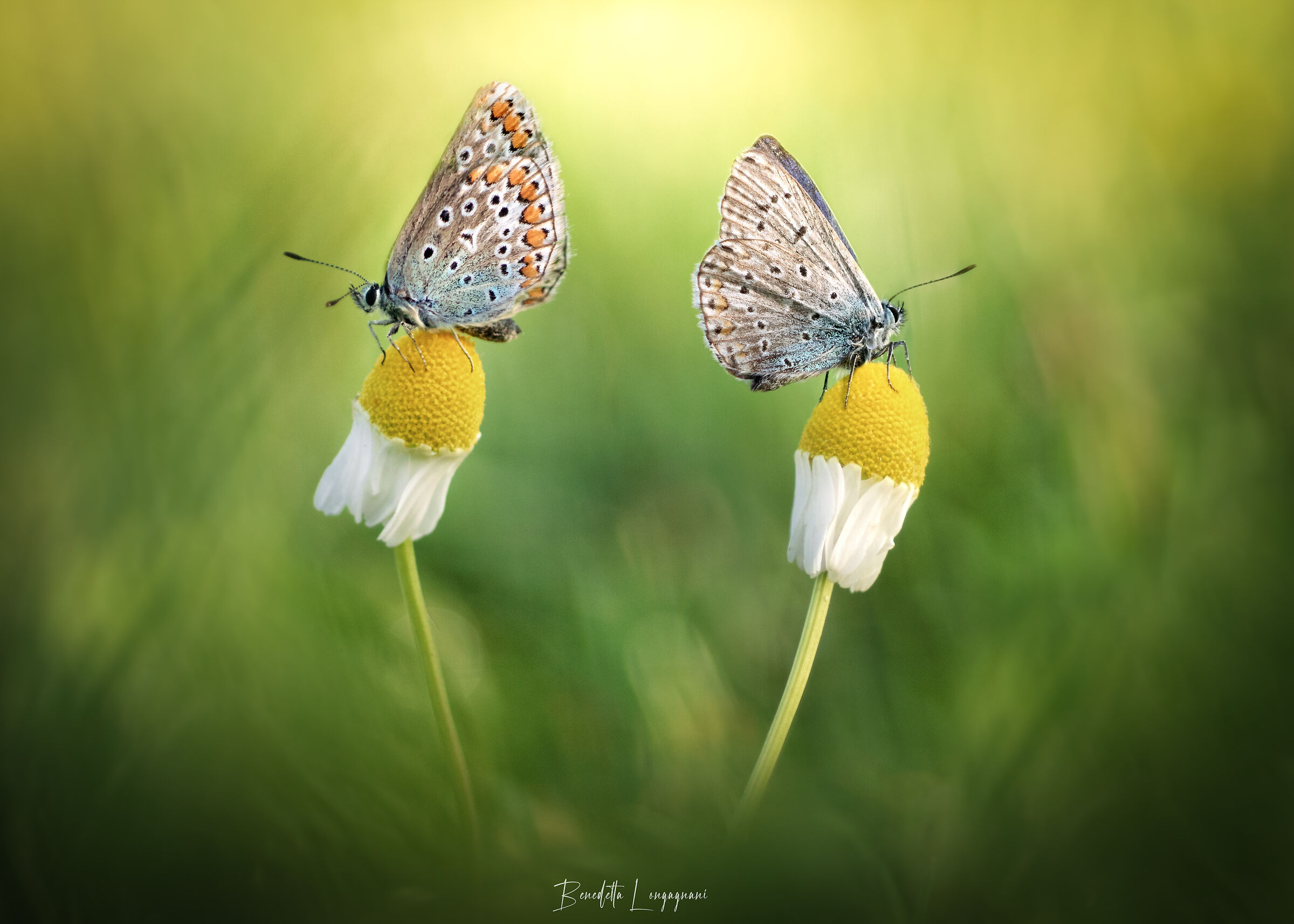 Every man for himself