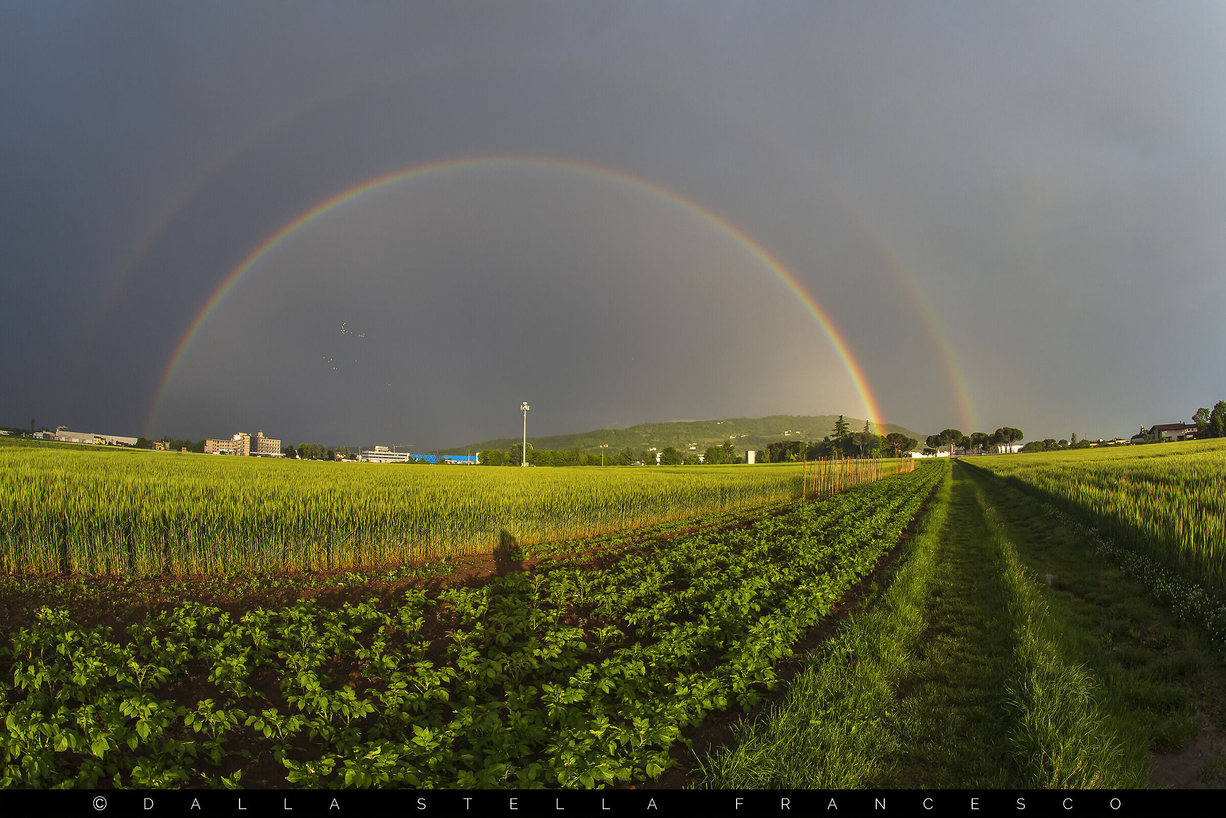 Colorful surprises after the storm