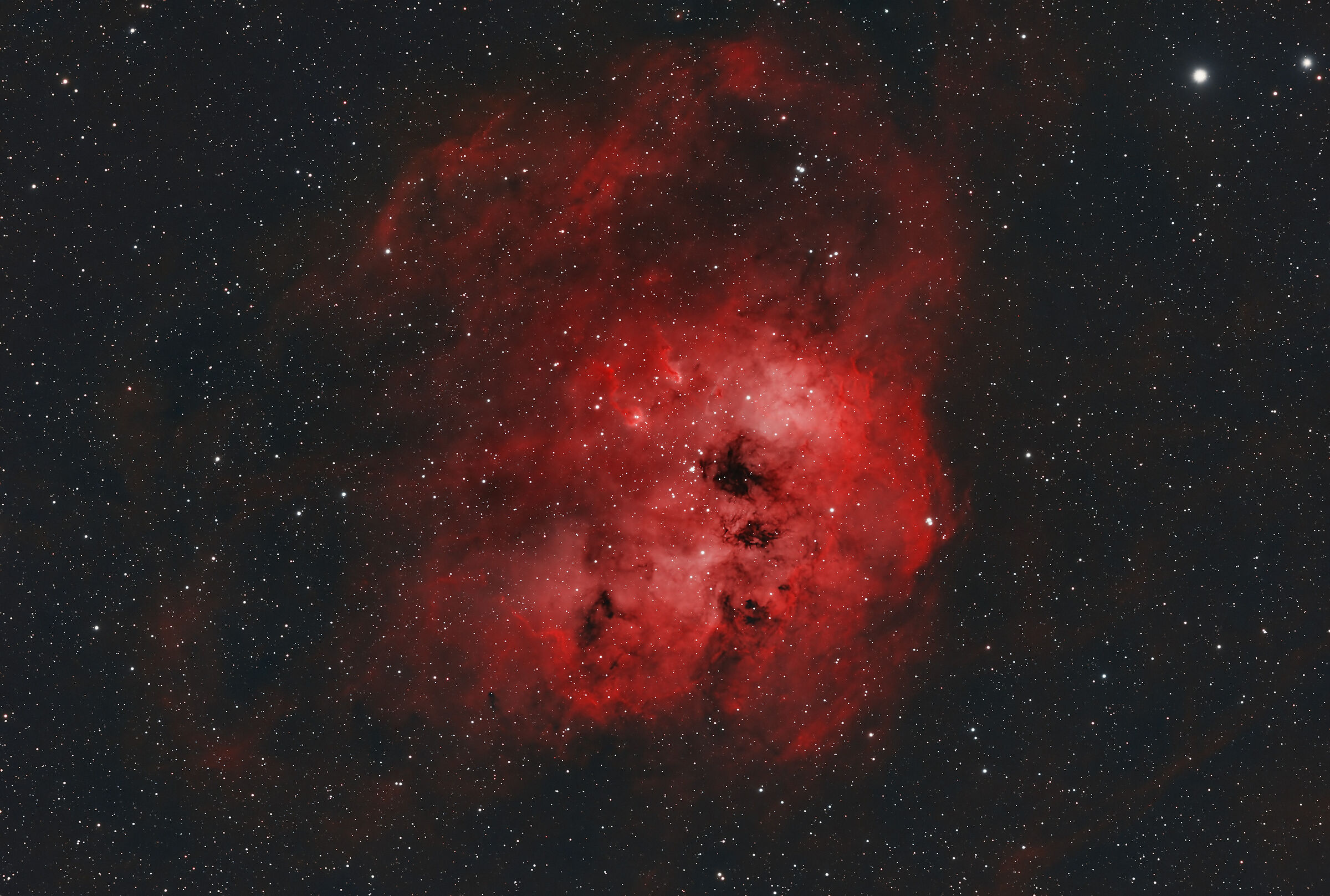 Tadpoles Nebula in HOO Palette