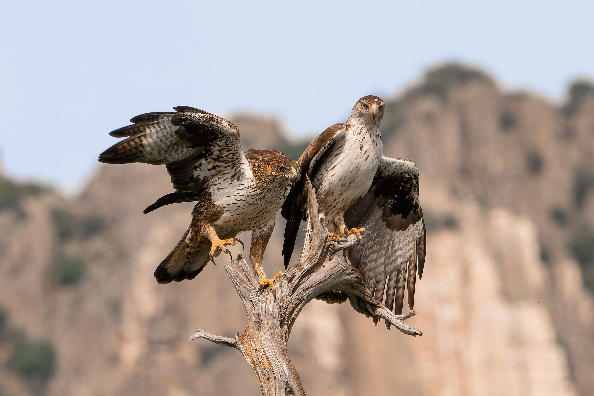 Ritratto di famiglia