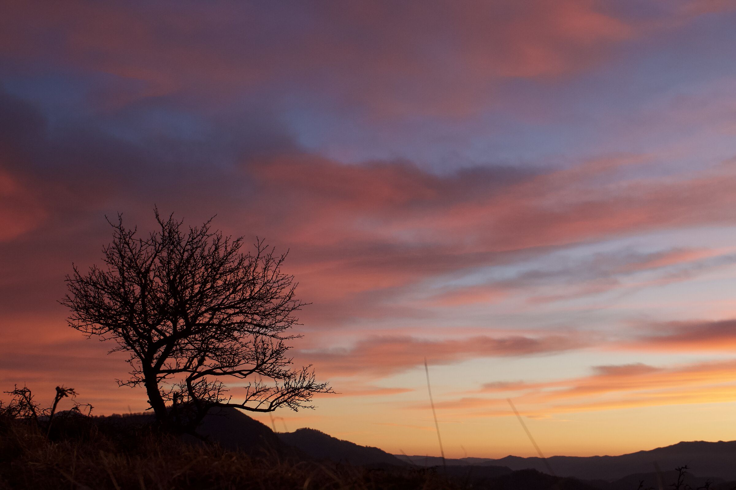 Tramonto