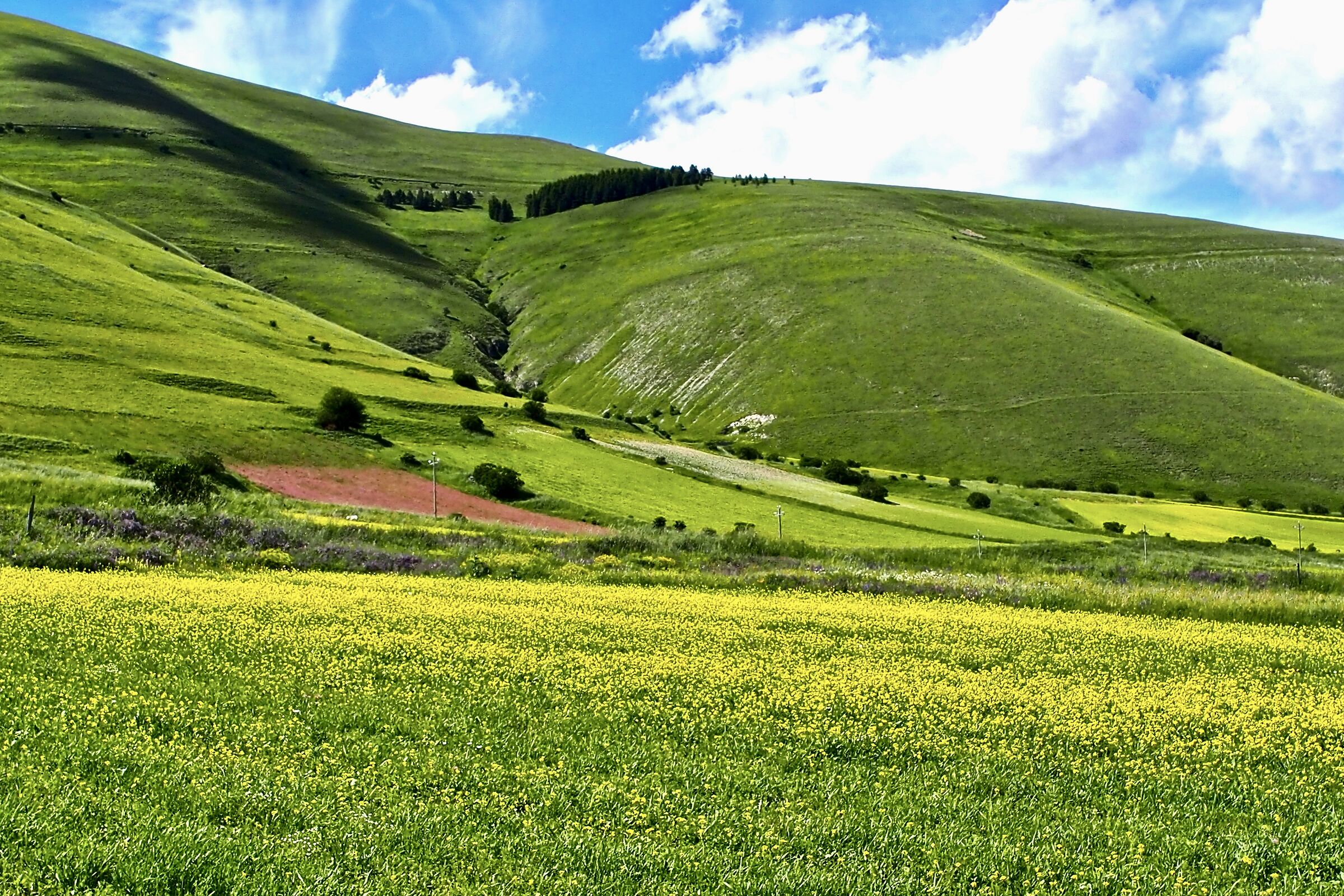 Castelluccio di Norcia