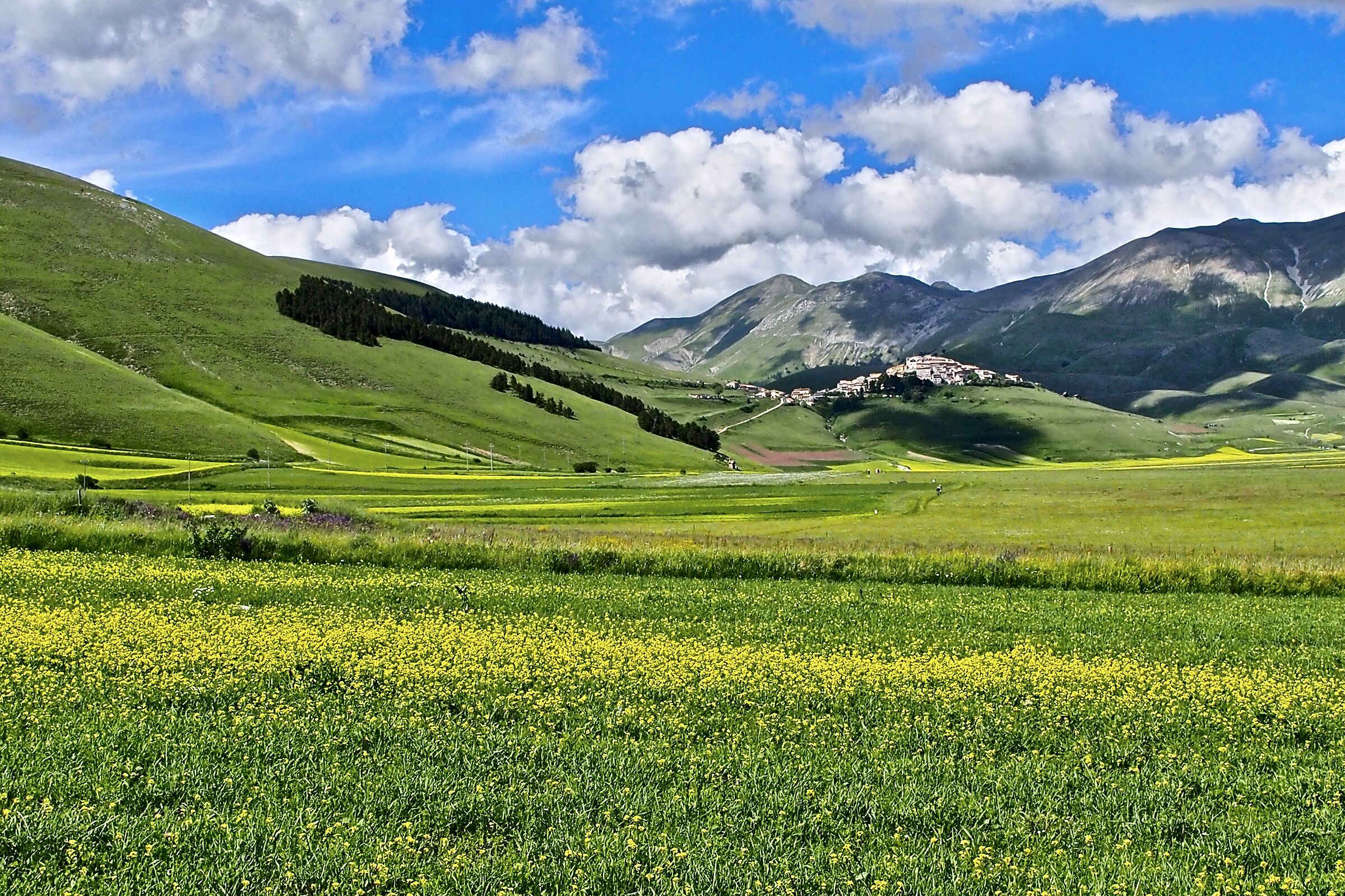 Castelluccio di Norcia