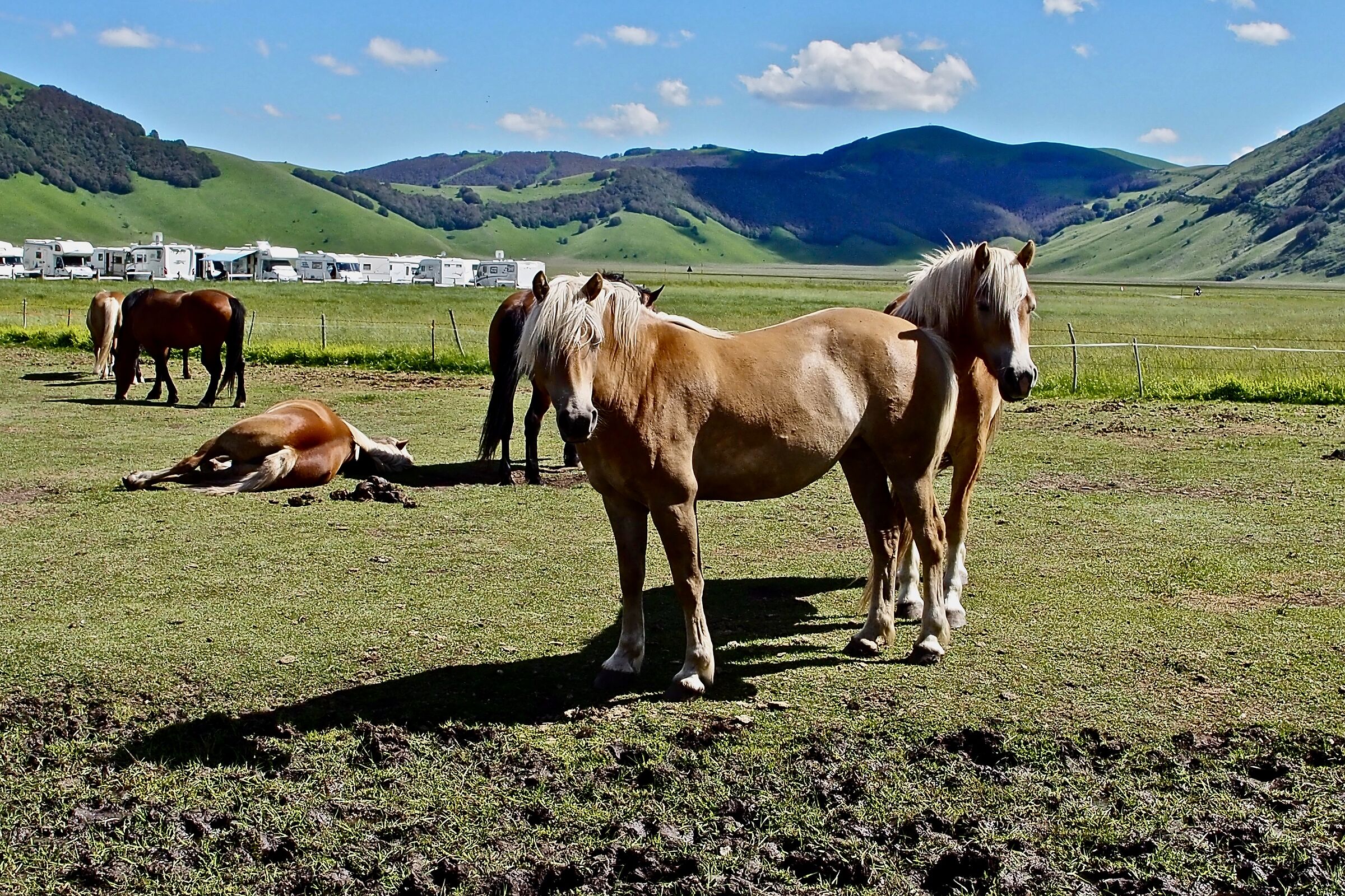 Castelluccio di Norcia