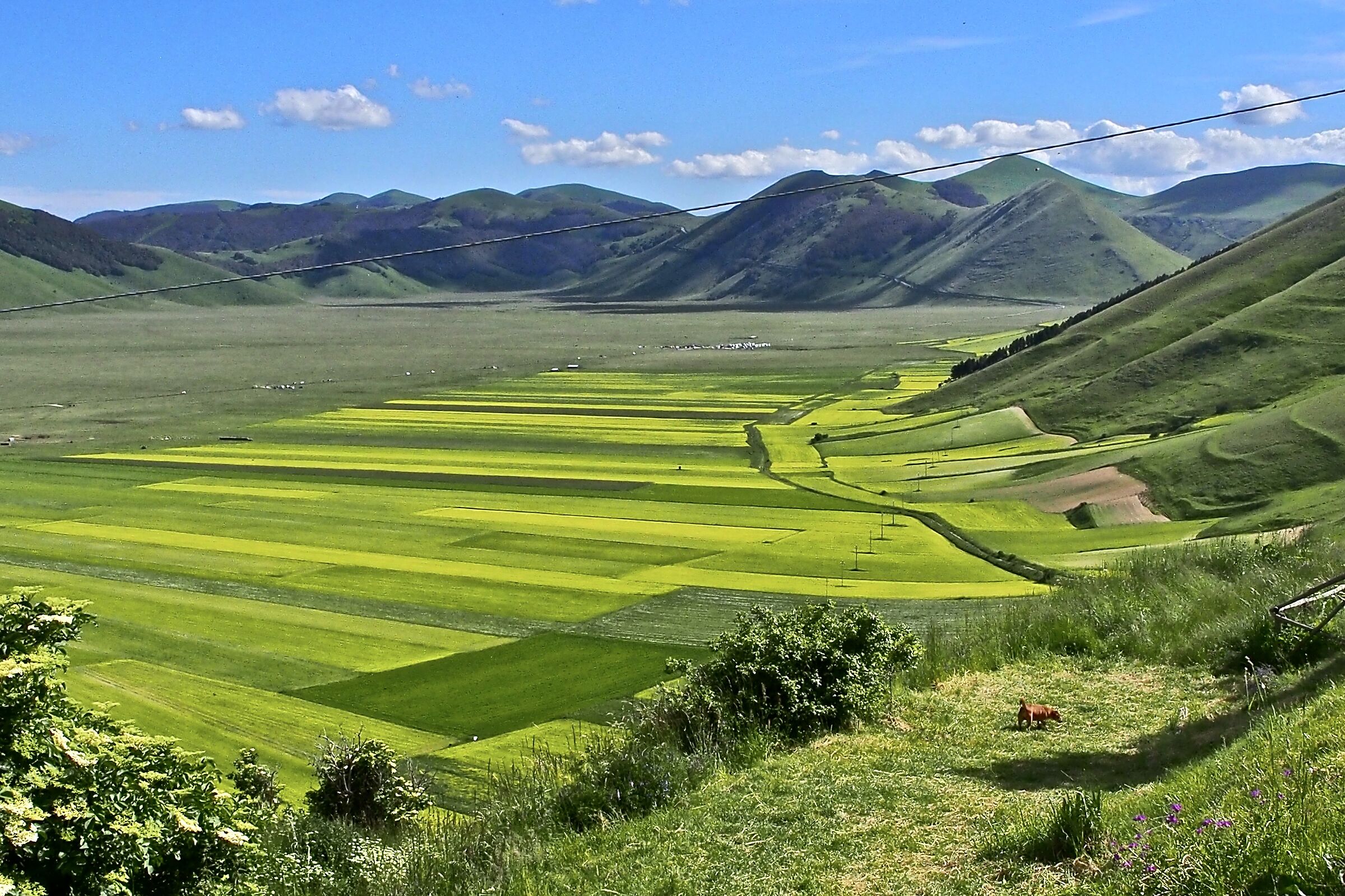 Castelluccio di Norcia
