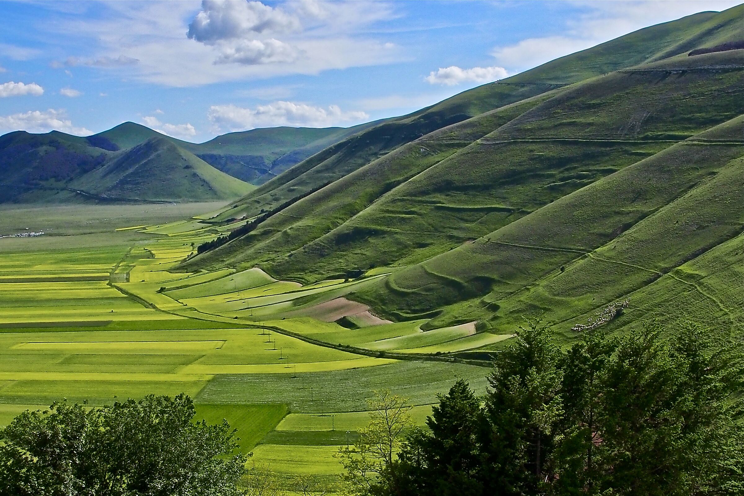 Castelluccio di Norcia
