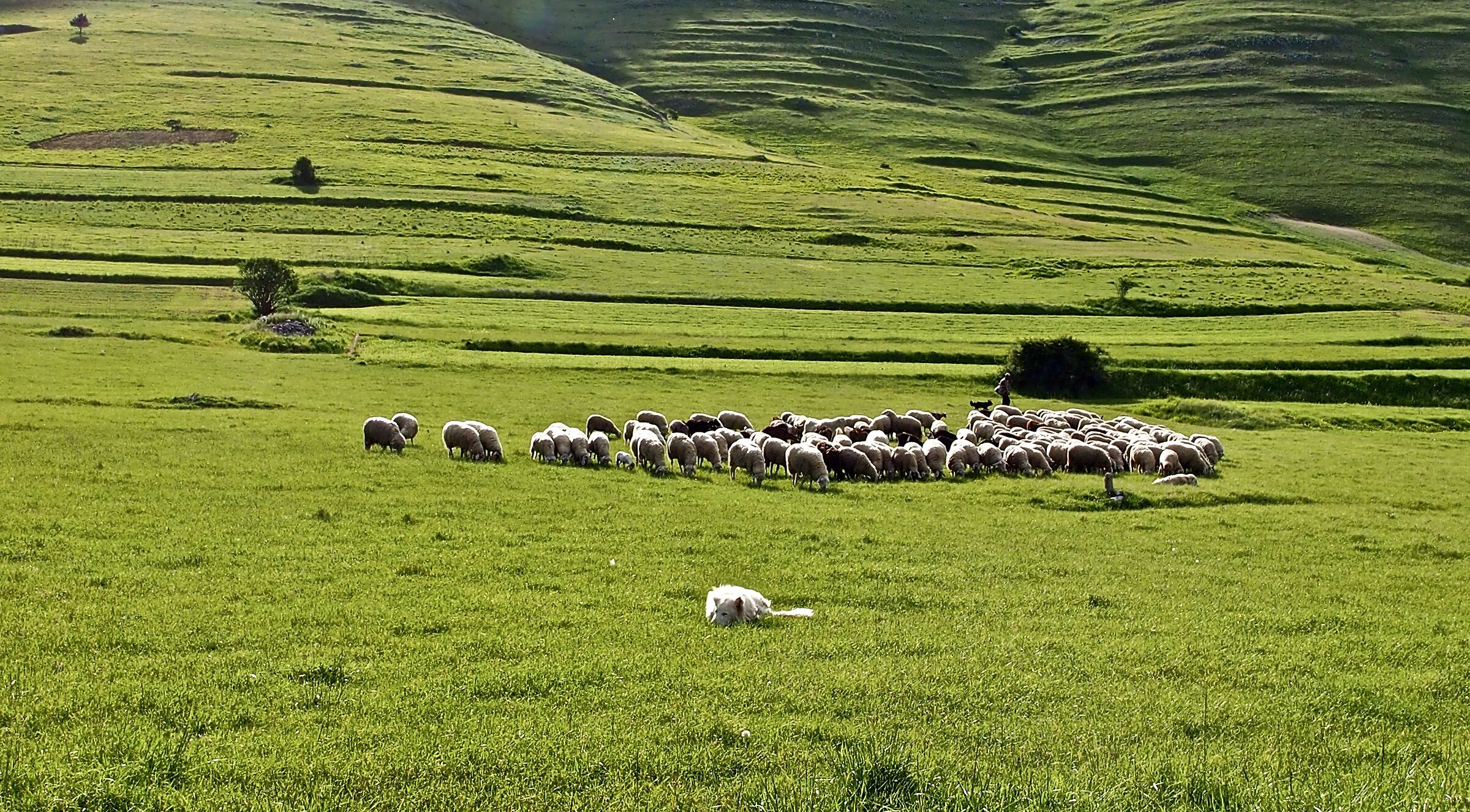Castelluccio di Norcia