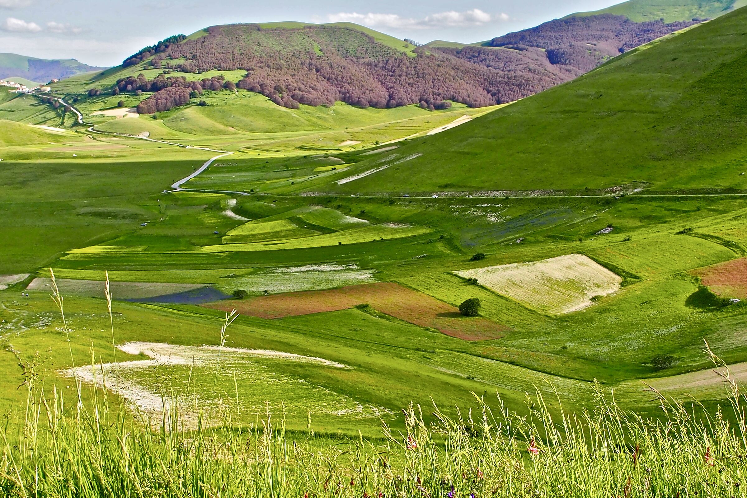 Castelluccio di Norcia