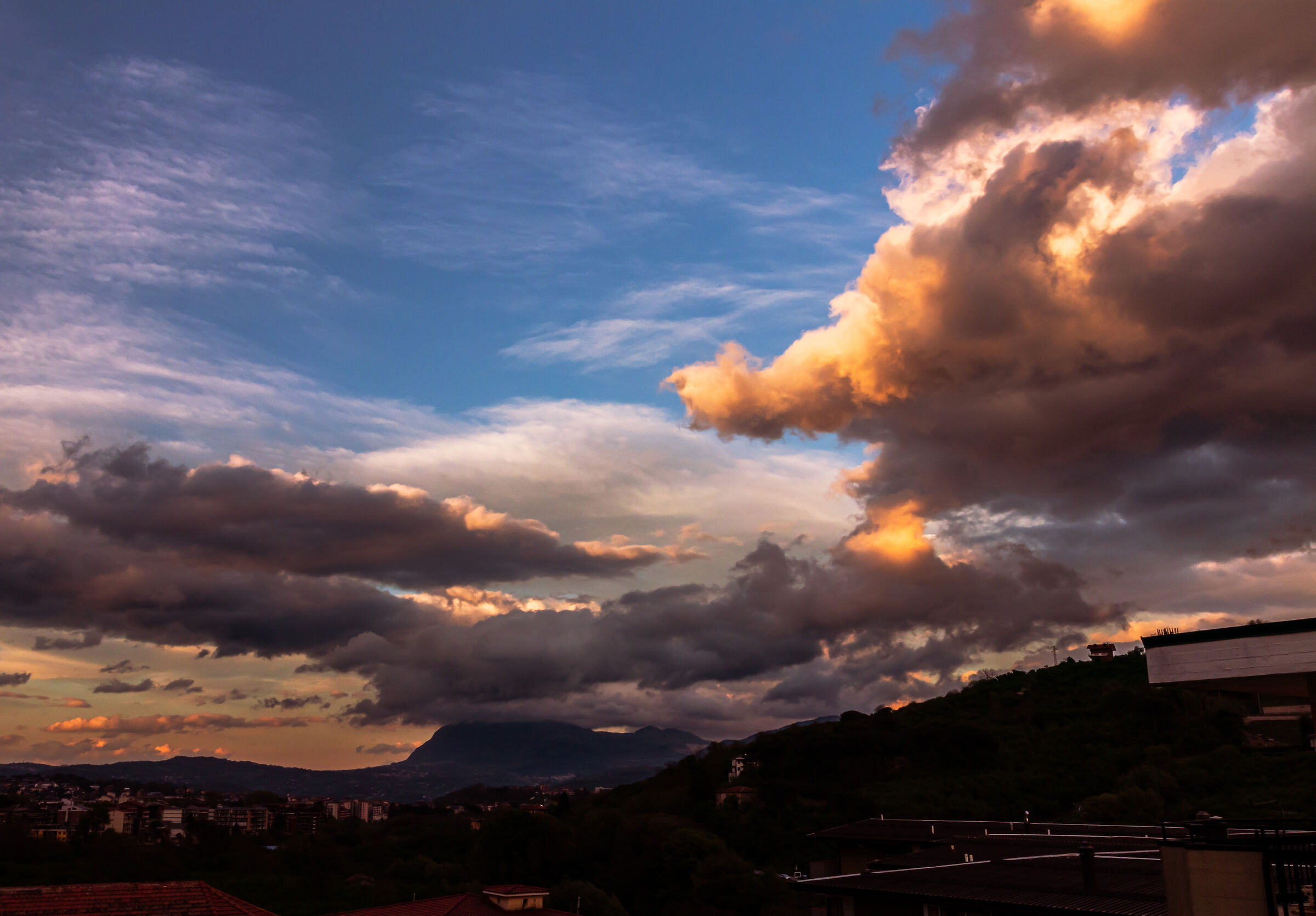 The great pig in the sky